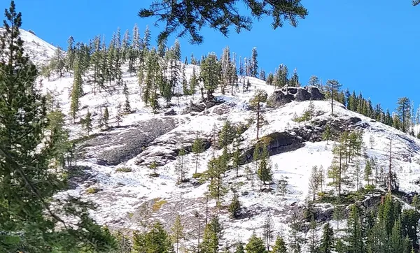 $959,000 | 1539 Mineral Springs Trail, Alpine Meadows, CA 96146