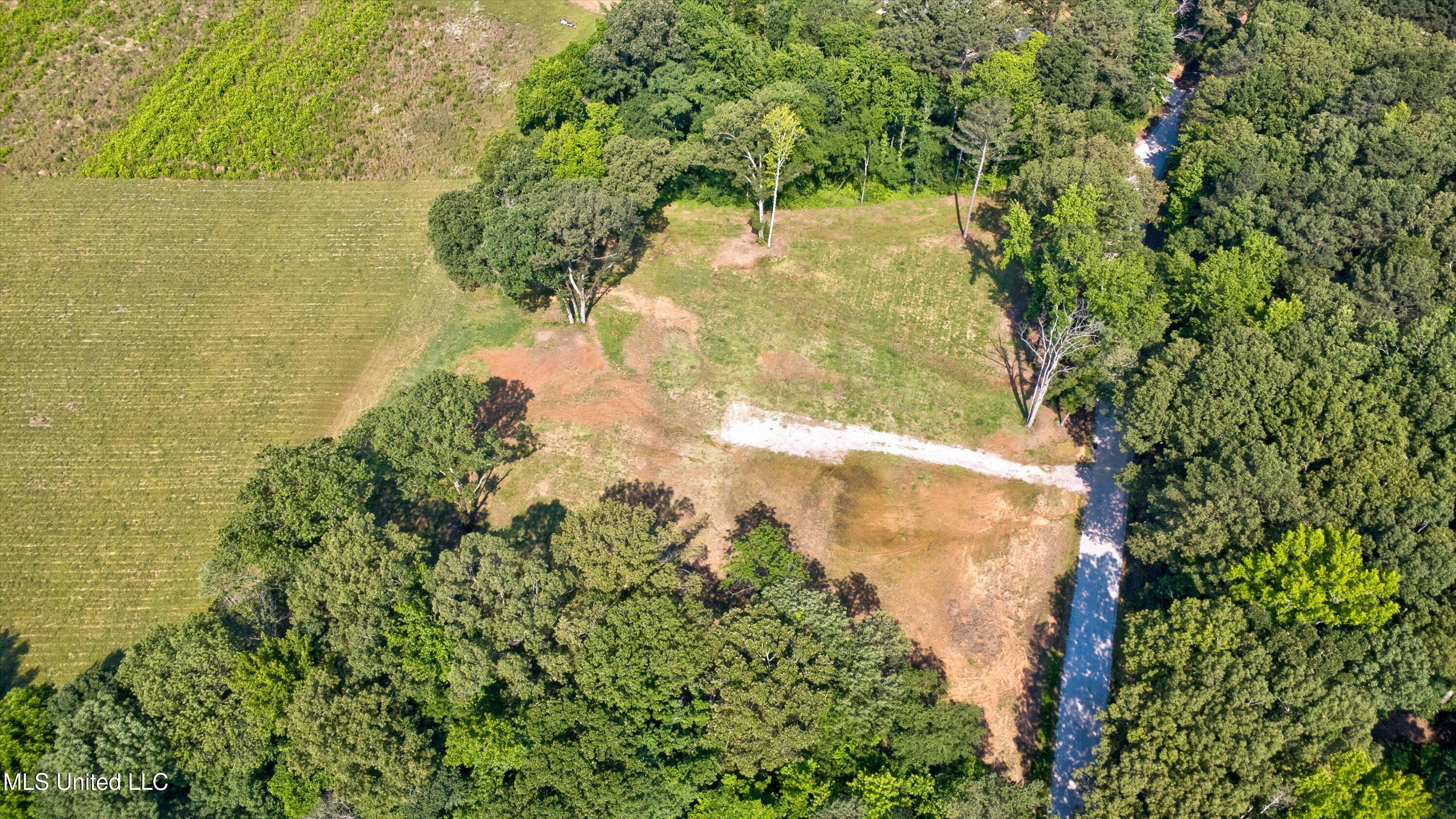 2069 Hogan Road Holly Springs, MS 38635 - Photo 1 of 12 Driveway
