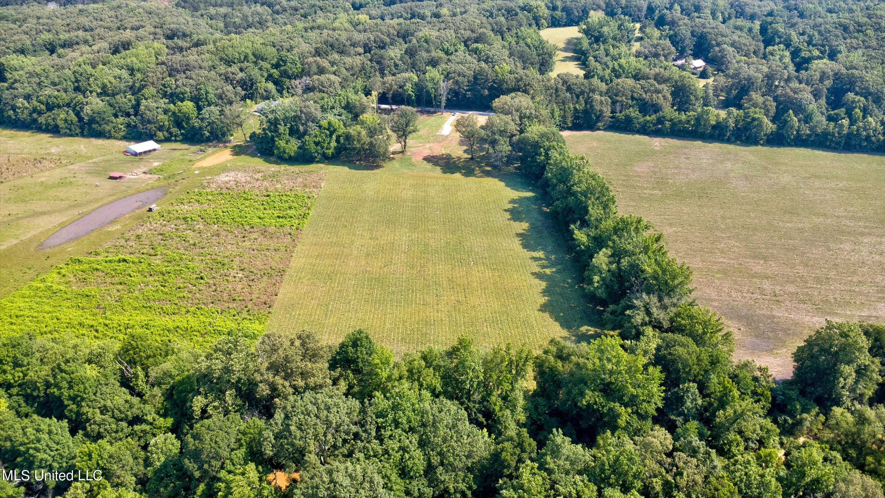 2069 Hogan Road Holly Springs, MS 38635 - Photo 3 of 12 05-Drone-4