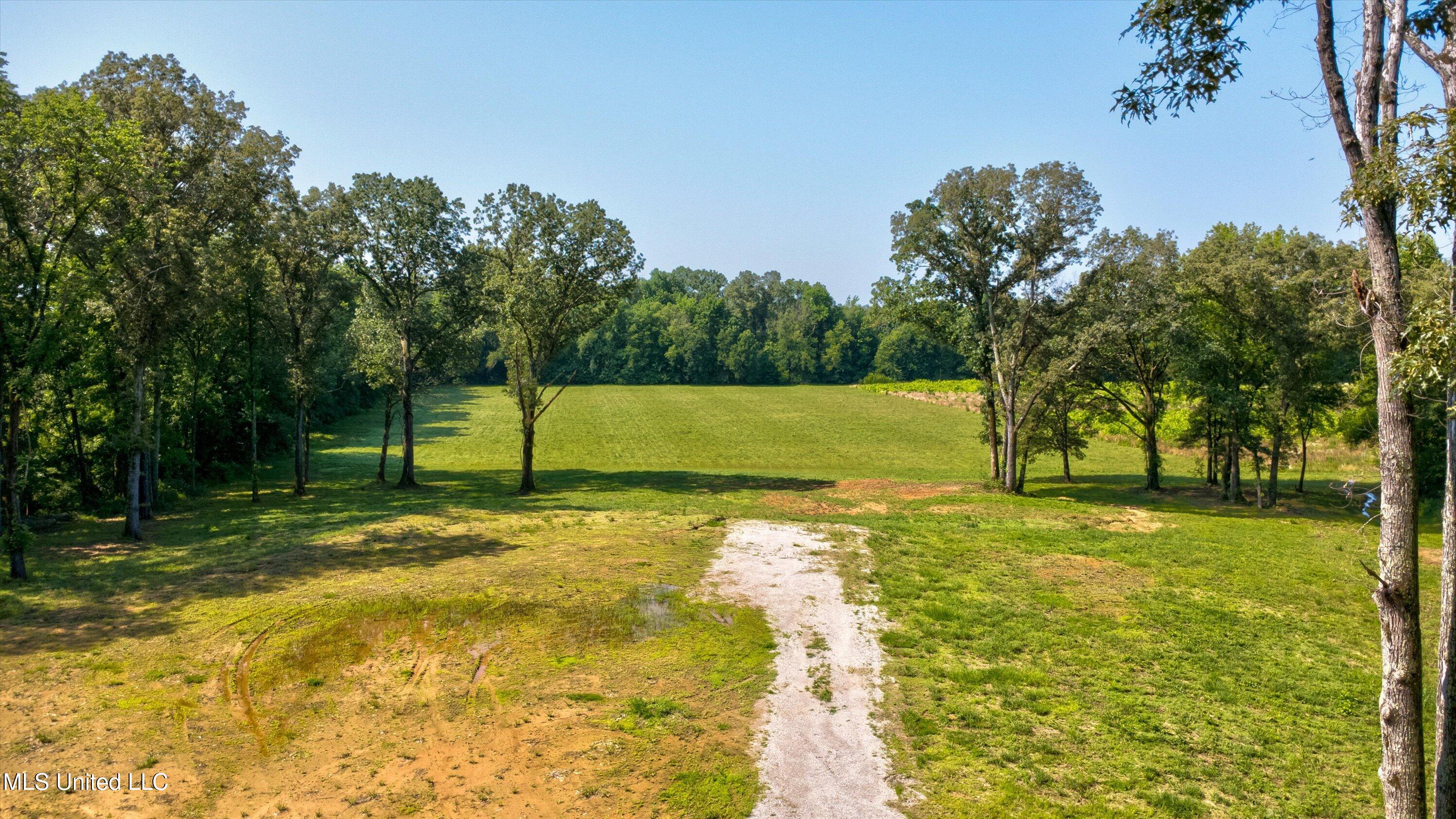 2069 Hogan Road Holly Springs, MS 38635 - Photo 4 of 12 12-Drone-9