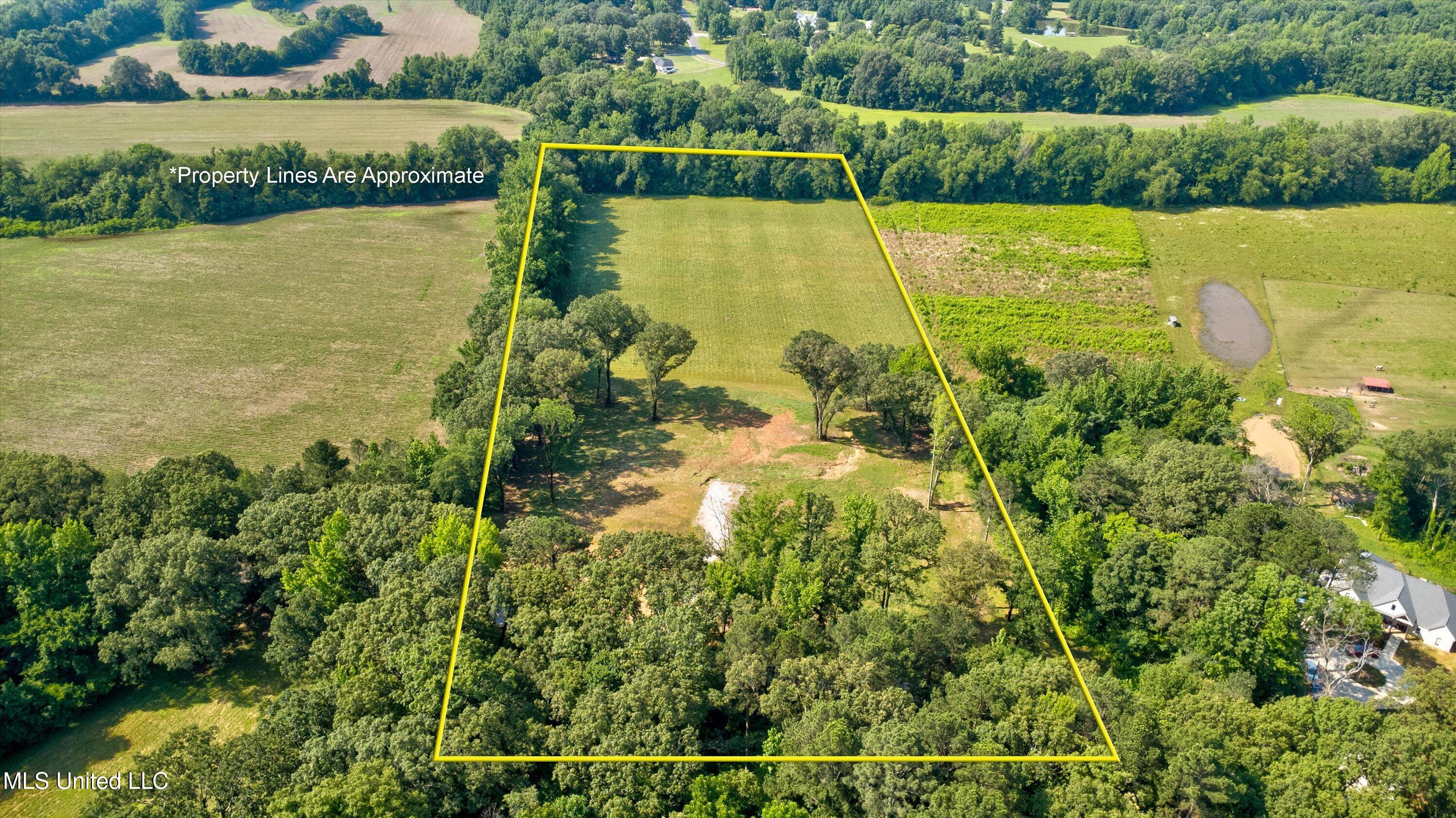 2069 Hogan Road Holly Springs, MS 38635 - Photo 6 of 12 02-Drone-1