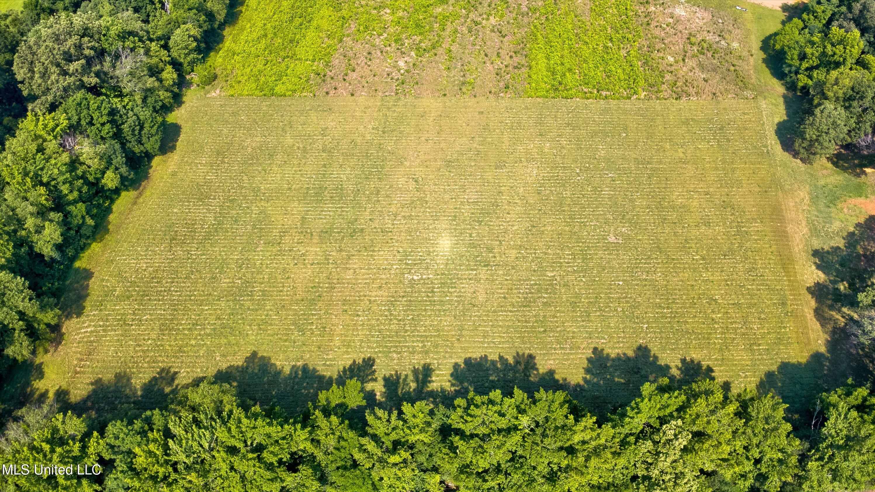 2069 Hogan Road Holly Springs, MS 38635 - Photo 7 of 12 10-Drone-7