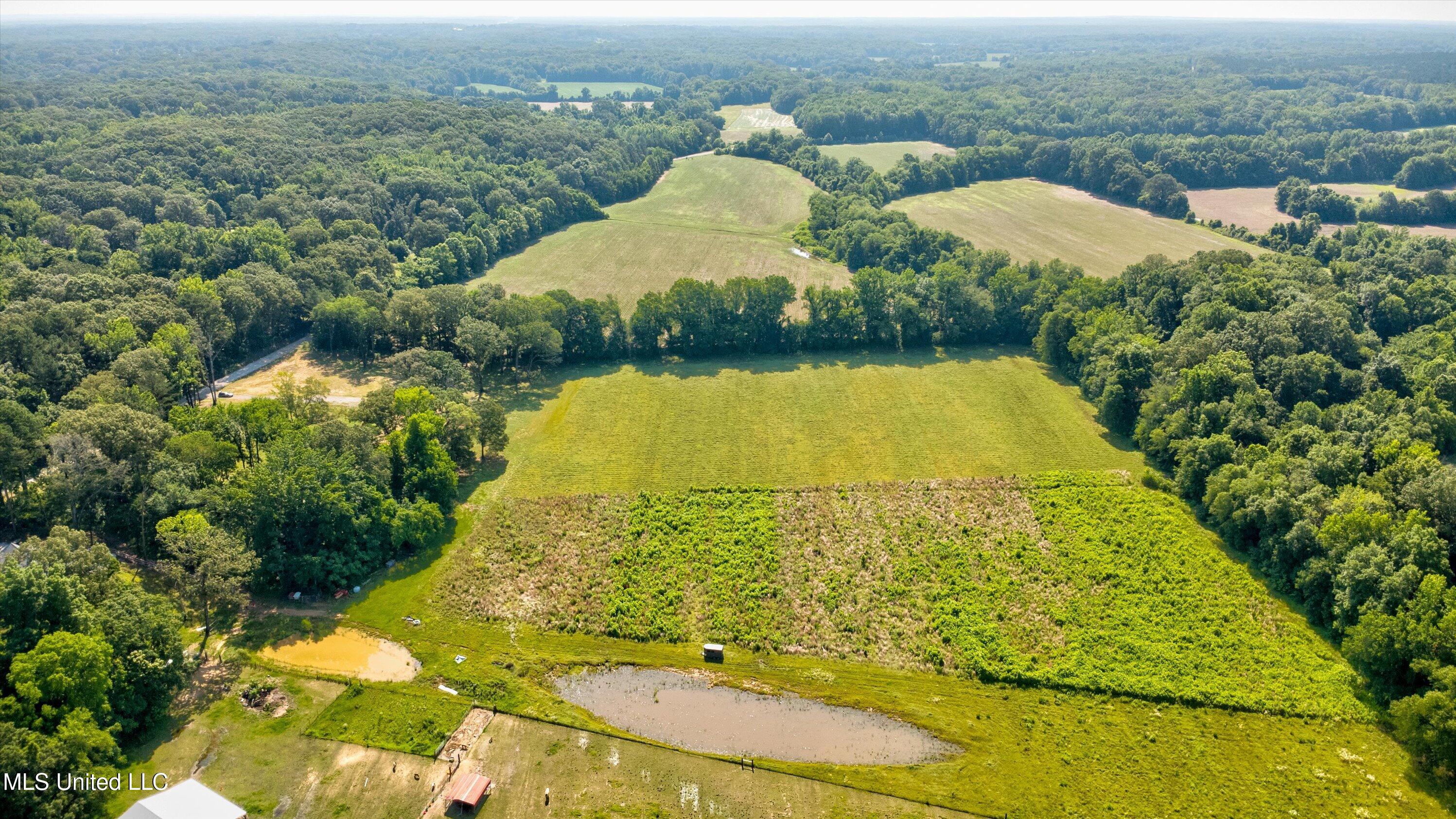 2069 Hogan Road Holly Springs, MS 38635 - Photo 8 of 12 06-Drone-5 copy