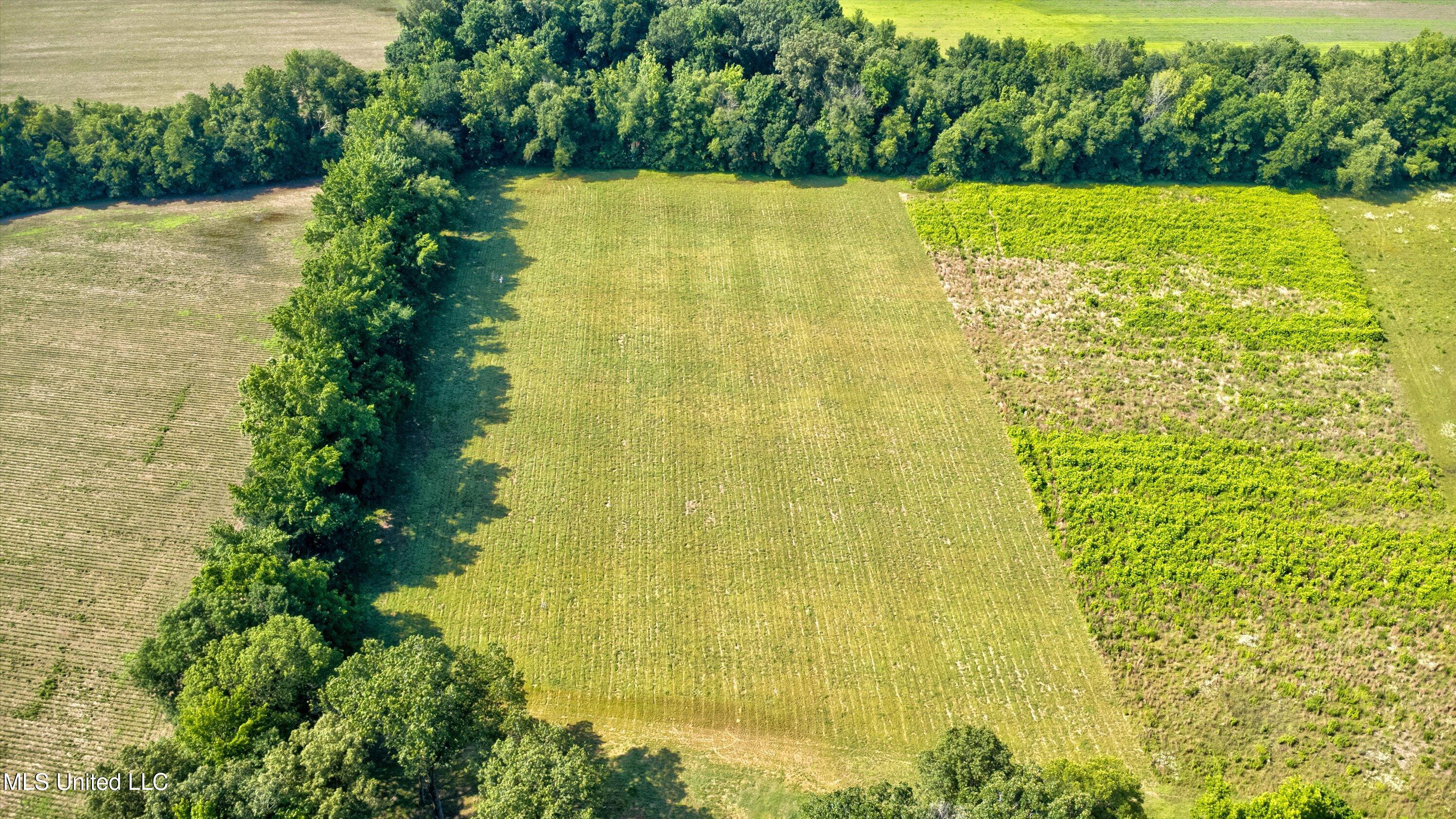 2069 Hogan Road Holly Springs, MS 38635 - Photo 9 of 12 04-Drone-3