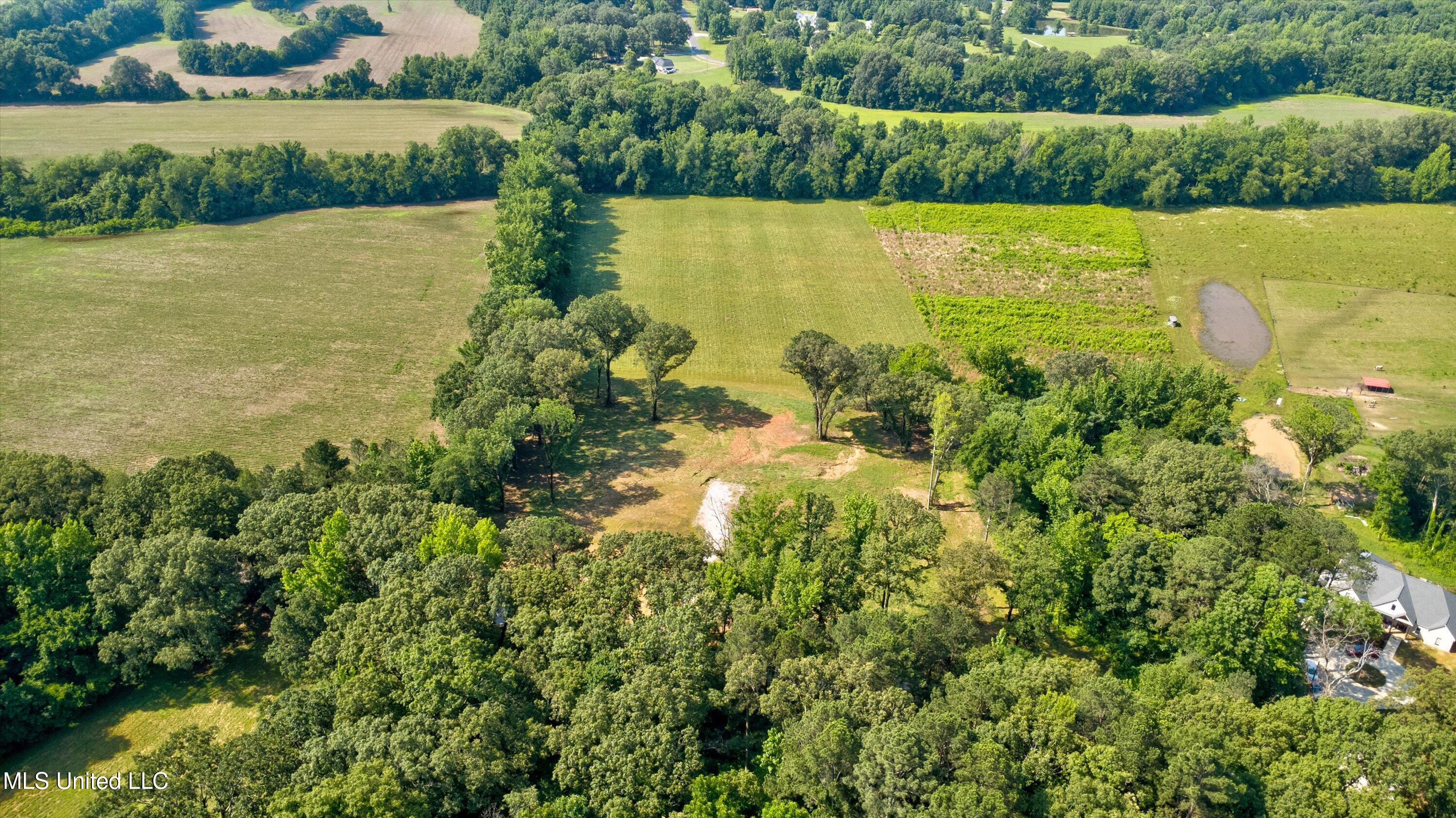 2069 Hogan Road Holly Springs, MS 38635 - Photo 10 of 12 01-Drone-1 copy