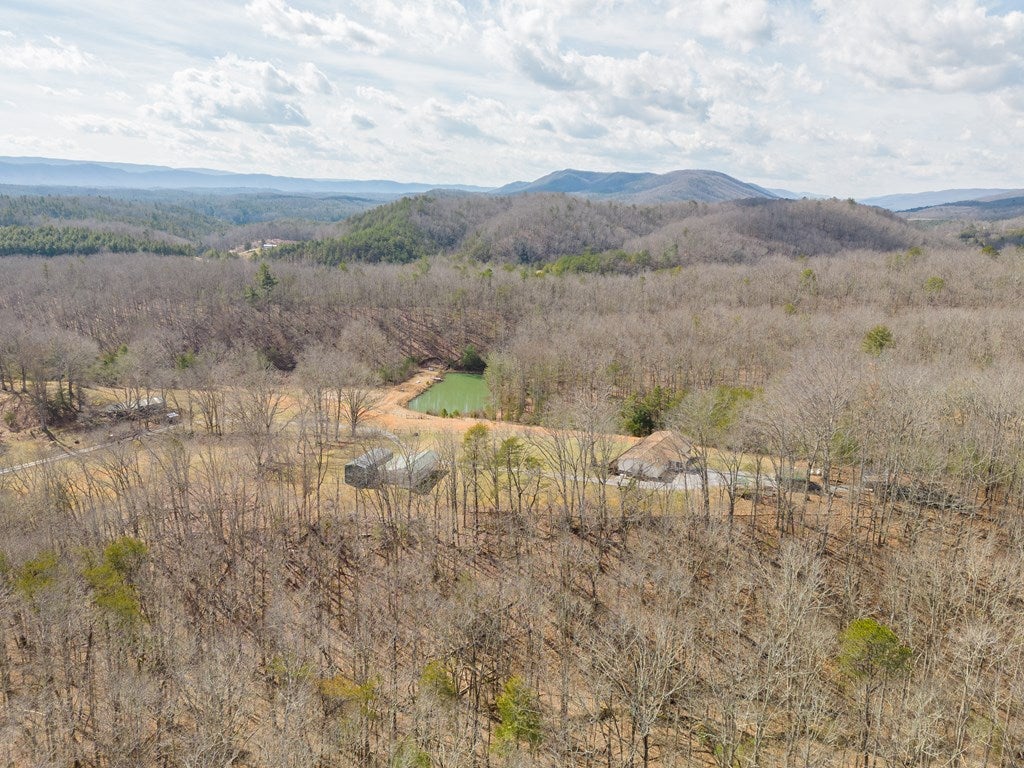 3618 Wesendonck Road Bland, VA 24315 - Photo 60 of 63 Gallery Image 60