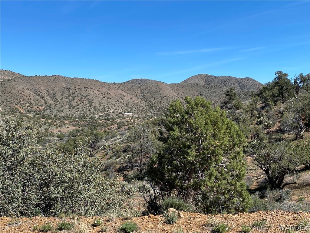 9095 Elliott Ridge Road Kingman, AZ 86401 - Photo 27 of 54 a view of a dry yard with mountains in the background