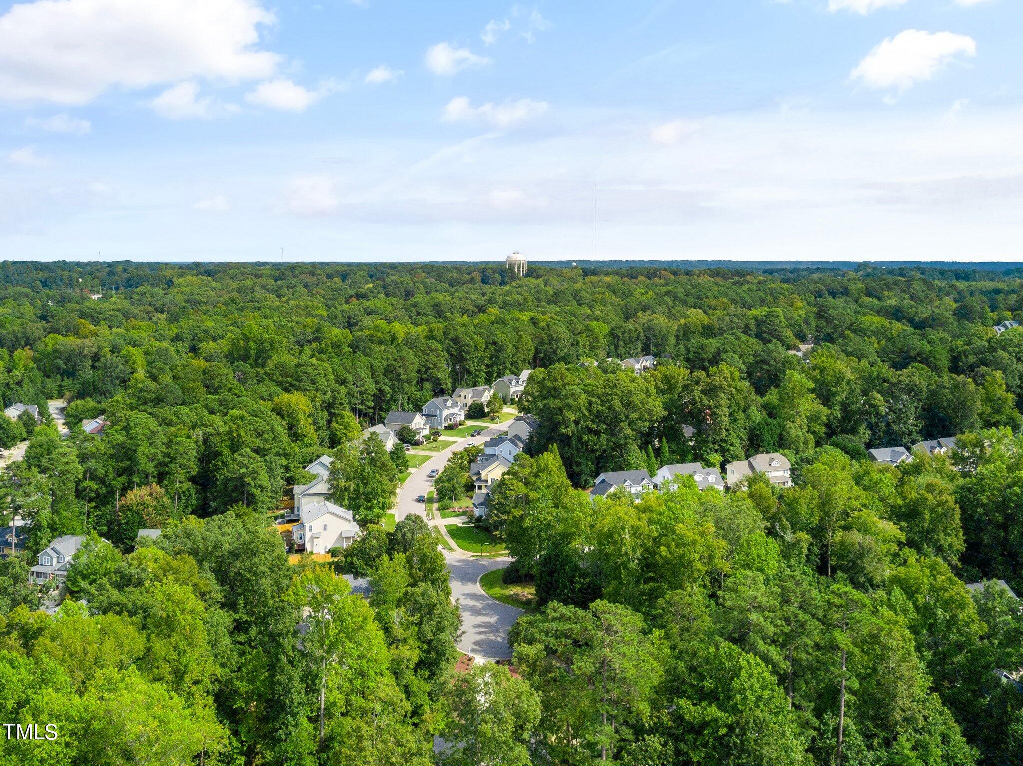 222 Homegate Circle Apex, NC 27502 - Photo 33 of 33 a view of a green field with lots of bushes