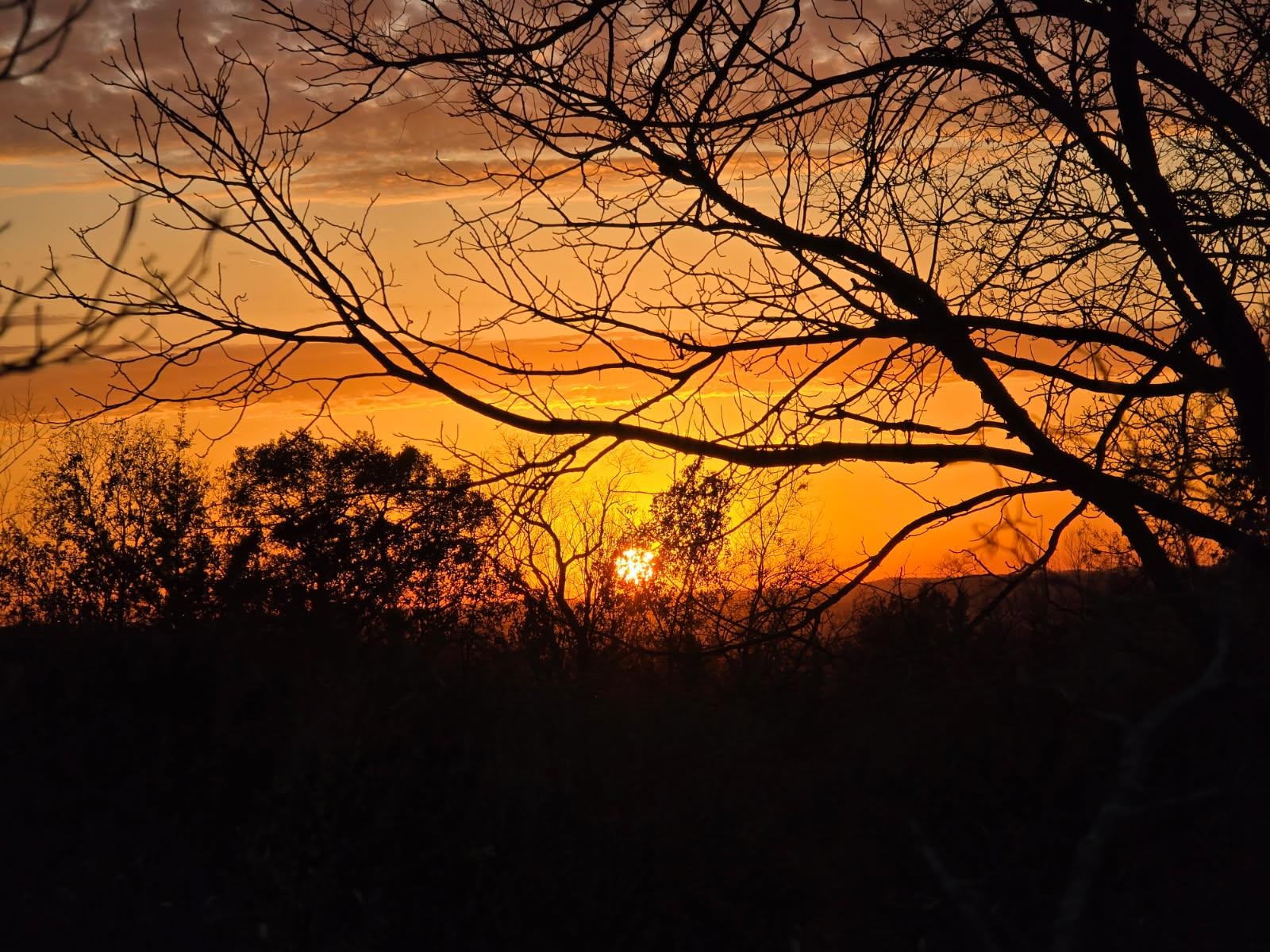 5438 Marie Road Oregon, WI 53575 - Photo 80 of 80