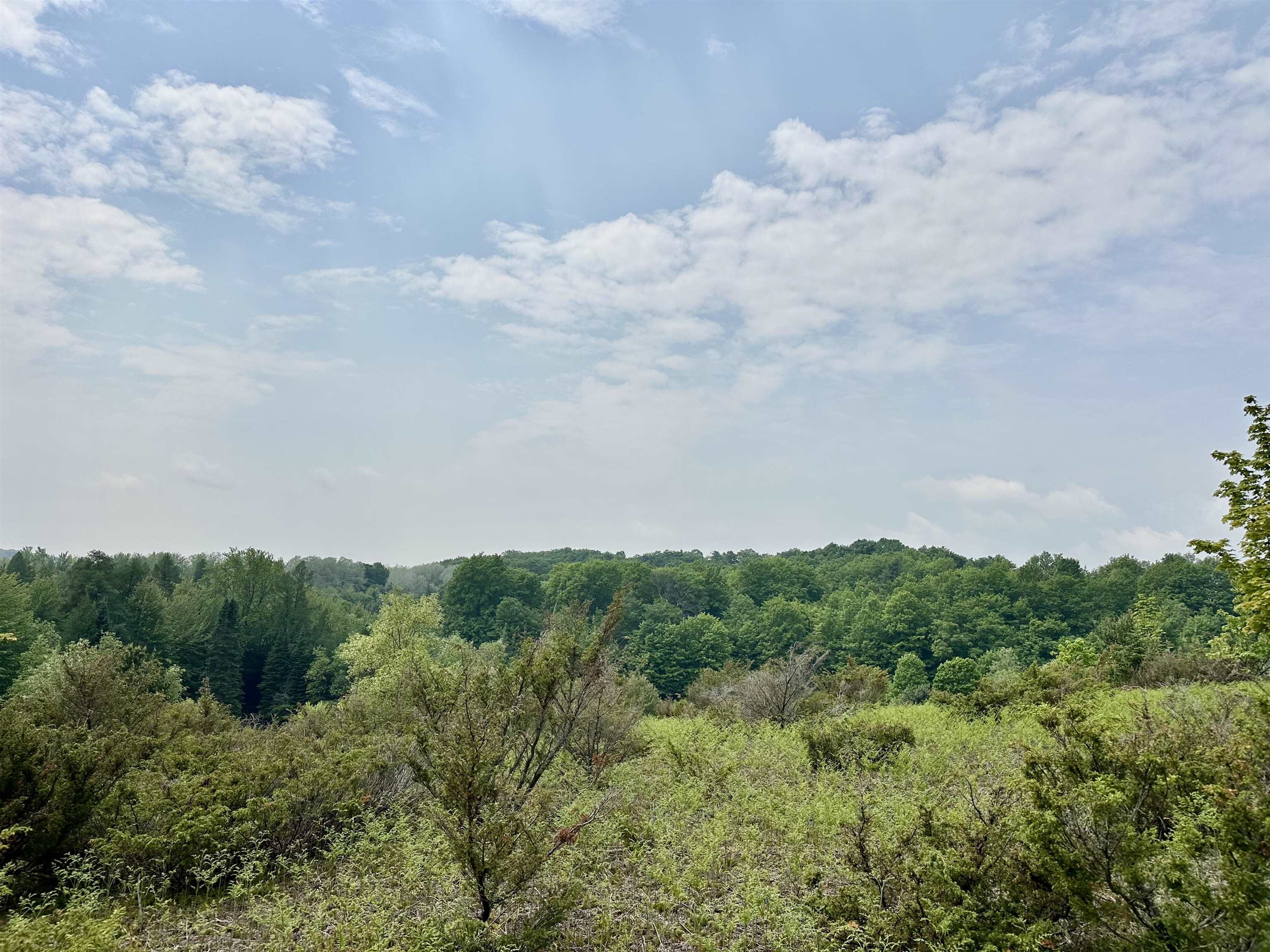 90-acres East Otto Road Suttons Bay, MI 49682 - Photo 16 of 68 Gallery Image 16