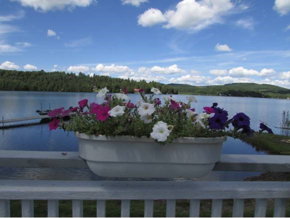 1154 Parker Road Glover, VT 05875 - Photo 4 of 19 Gallery Image 4
