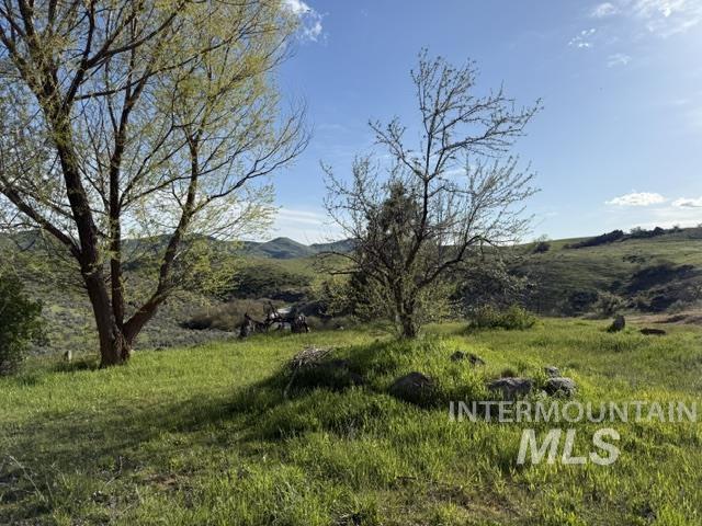 140 Brownlee Loop Road Horseshoe Bend, ID 83629 - Photo 15 of 29 Expansive open land featuring verdant hills and mature trees