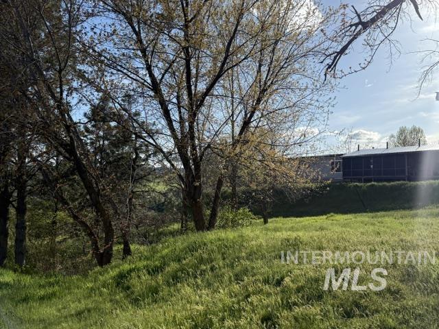 140 Brownlee Loop Road Horseshoe Bend, ID 83629 - Photo 3 of 29 Expansive grassy terrain with mature trees