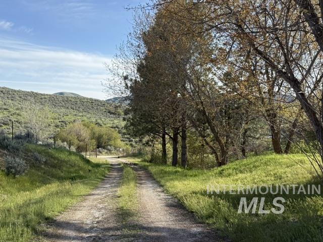 140 Brownlee Loop Road Horseshoe Bend, ID 83629 - Photo 5 of 29 Rural gravel road flanked by mature trees and verdant hillsides