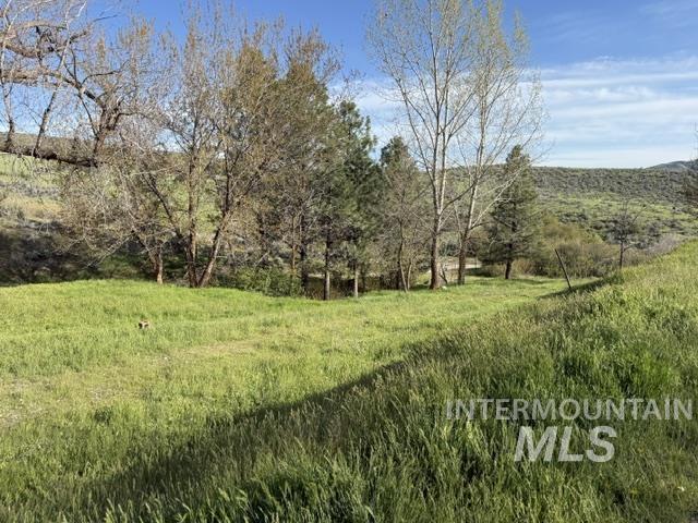 140 Brownlee Loop Road Horseshoe Bend, ID 83629 - Photo 6 of 29 Expansive grassy terrain featuring mature deciduous and evergreen trees