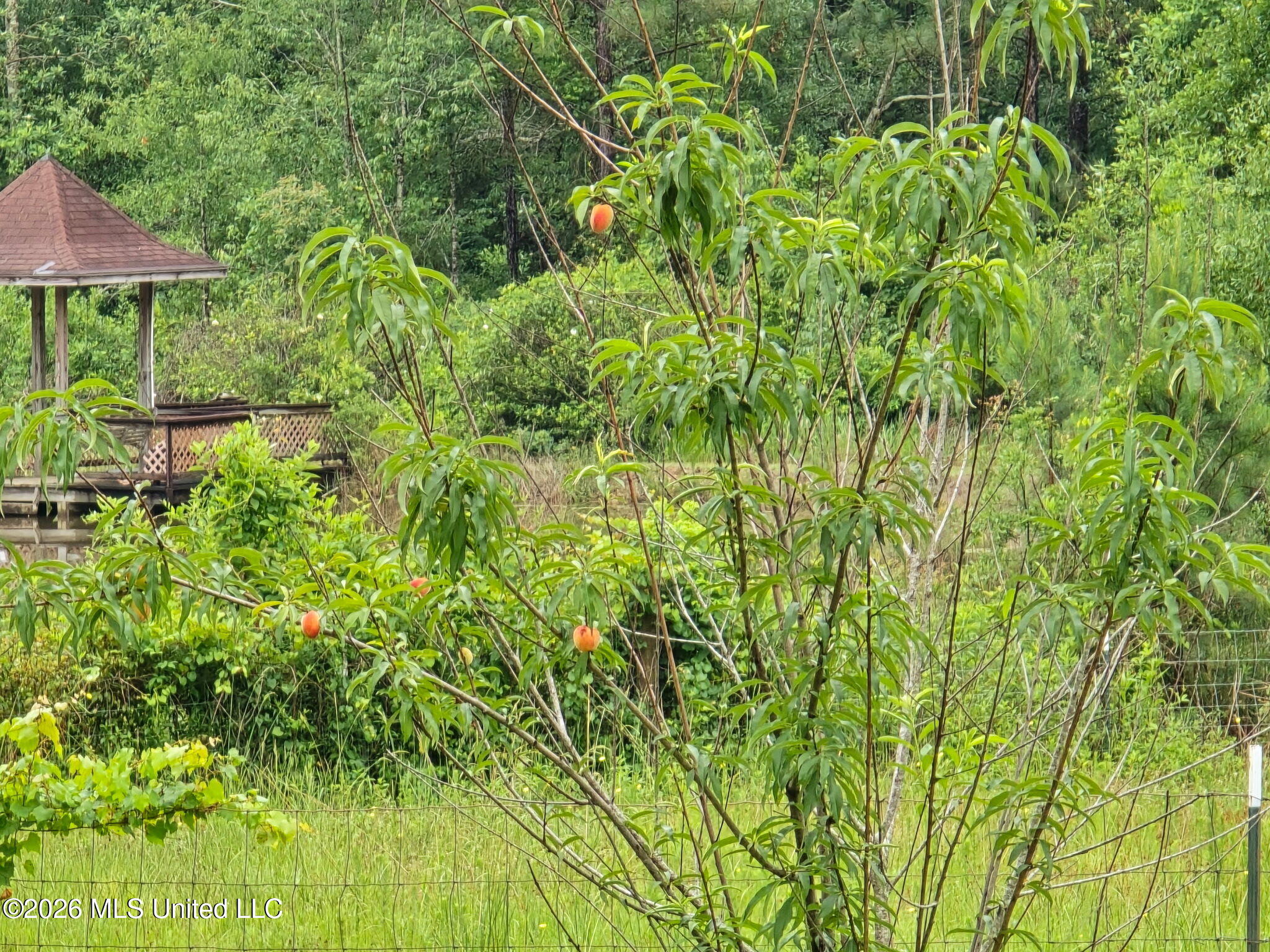 42 Boone Road Perkinston, MS 39573 - Photo 73 of 76 1000021260