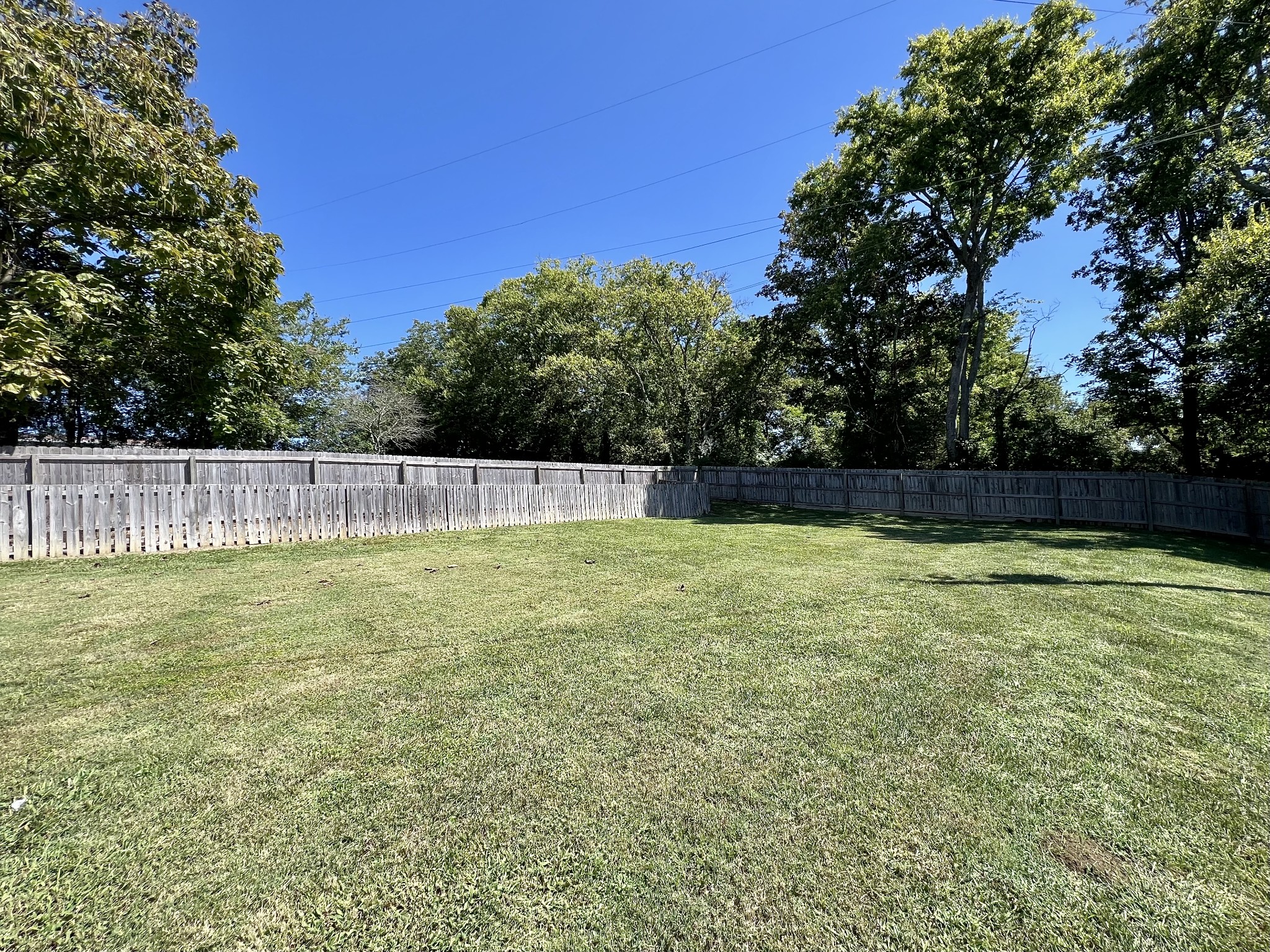 207 North Cedar Lane Pulaski, TN 38478 - Photo 24 of 66 a view of outdoor space and yard