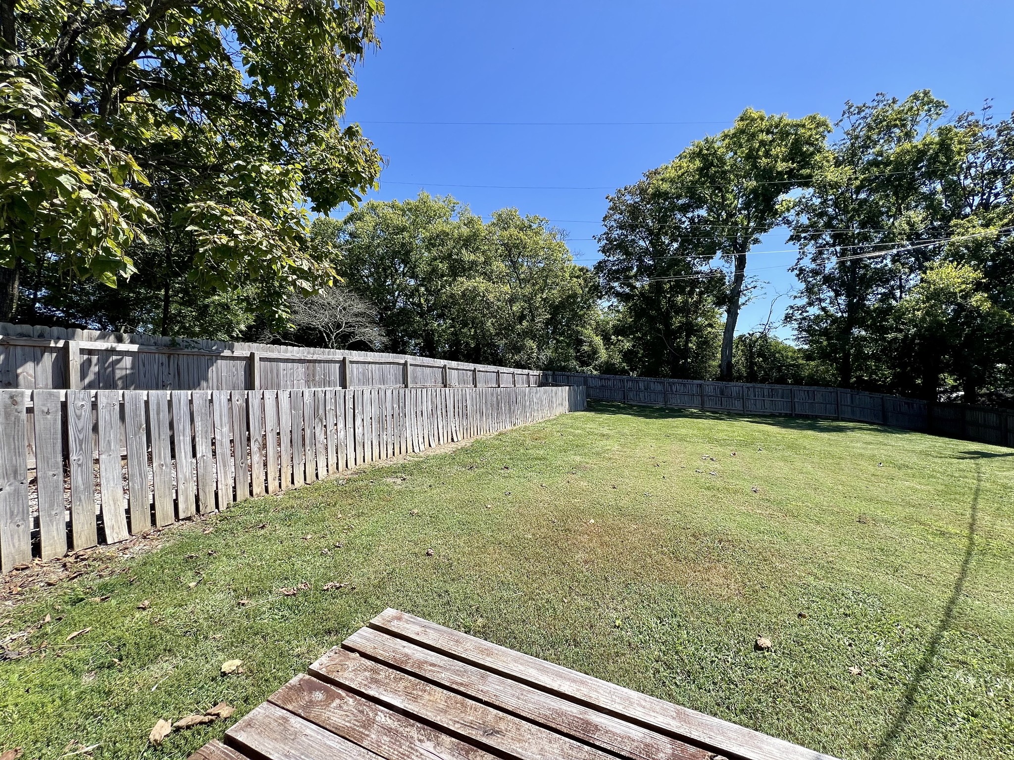 207 North Cedar Lane Pulaski, TN 38478 - Photo 52 of 66 a view of a yard with wooden fence
