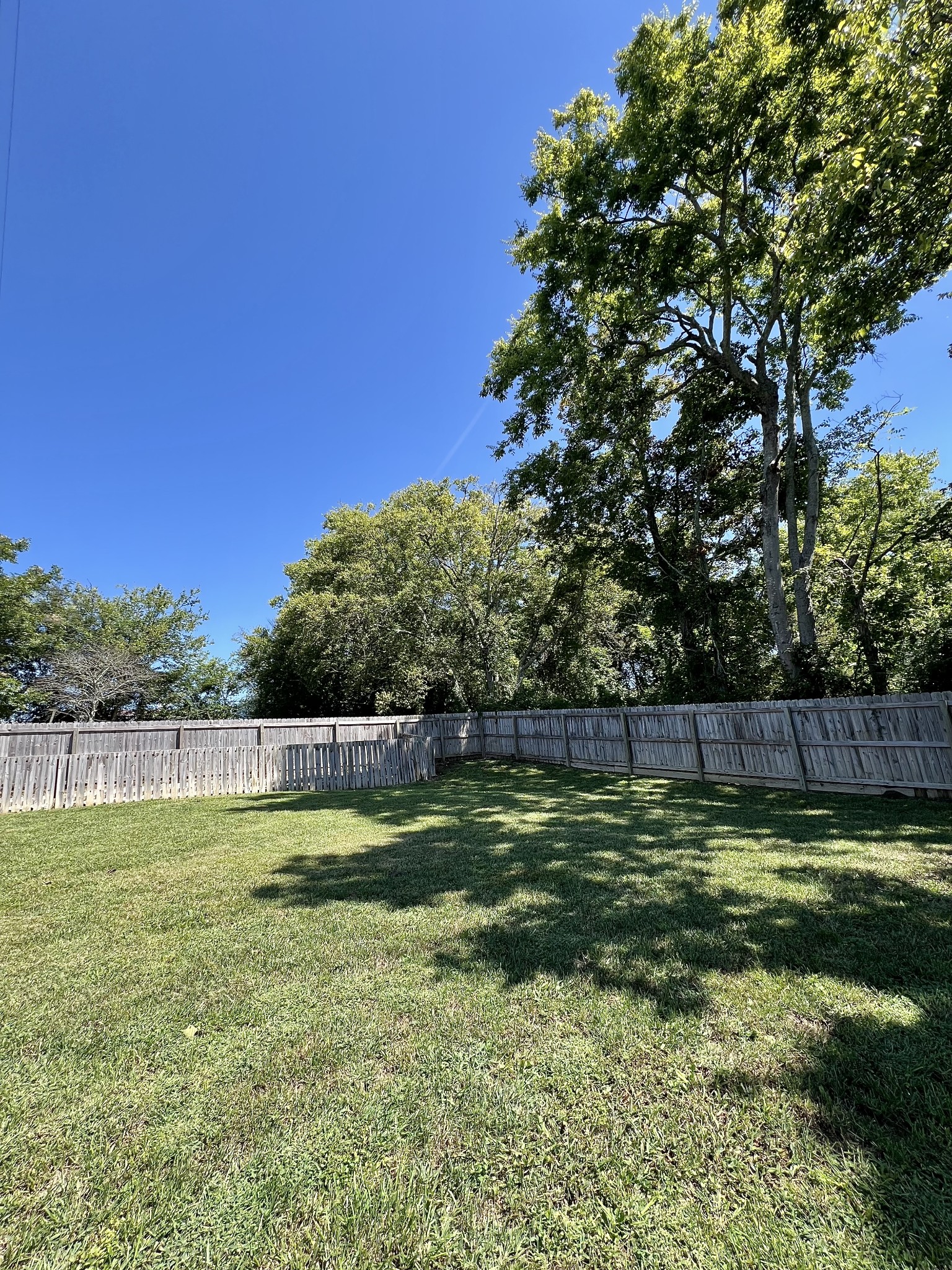 207 North Cedar Lane Pulaski, TN 38478 - Photo 57 of 66 a view of a swimming pool with a yard