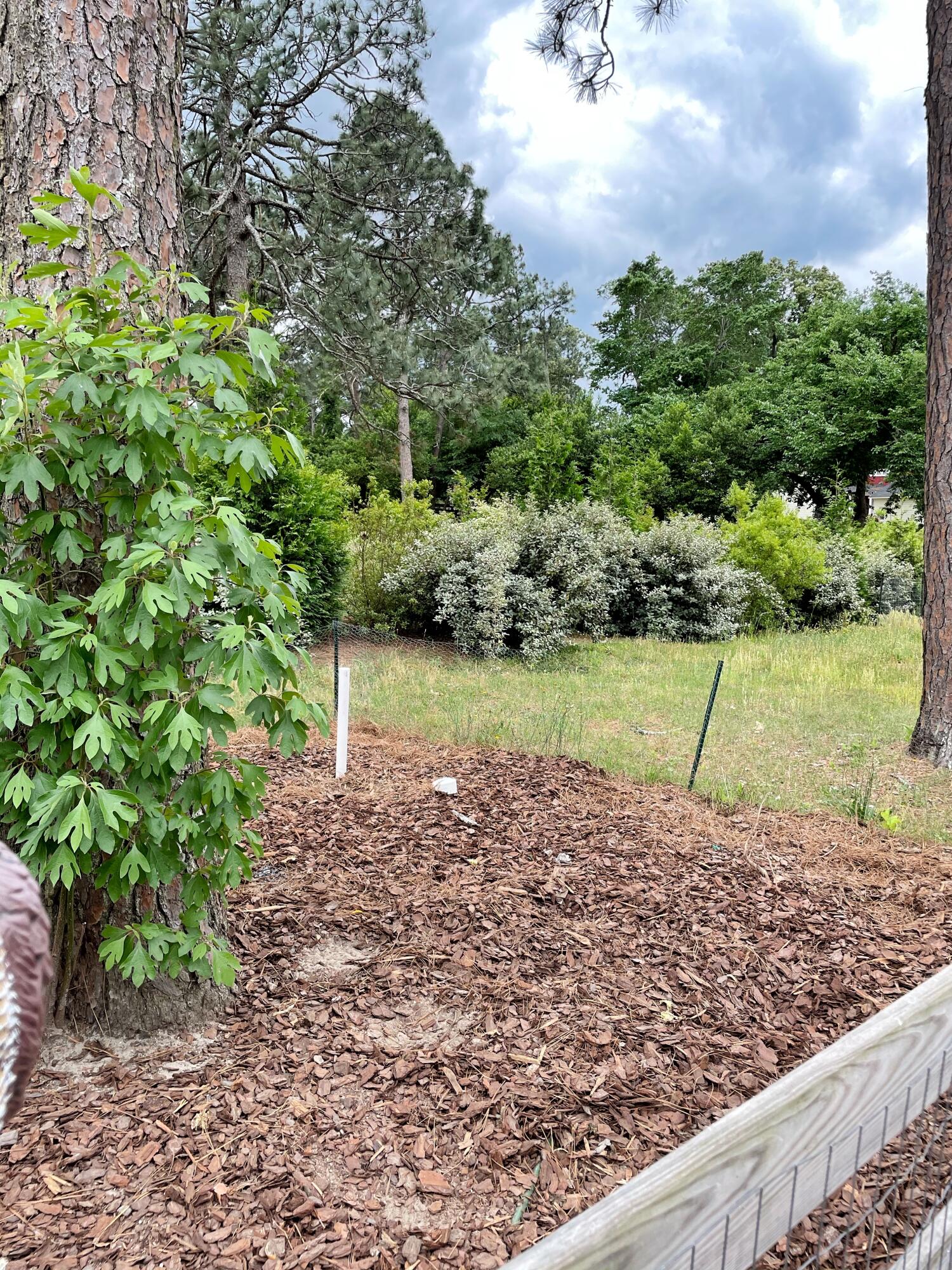 329 Sheldon Road Southern Pines, NC 28387 - Photo 40 of 45 IMG_1966