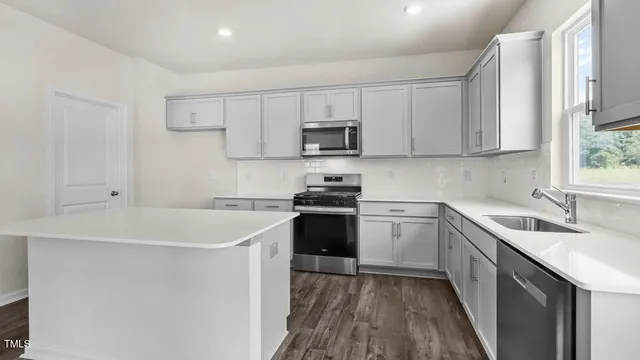 a kitchen with a sink cabinets and stainless steel appliances