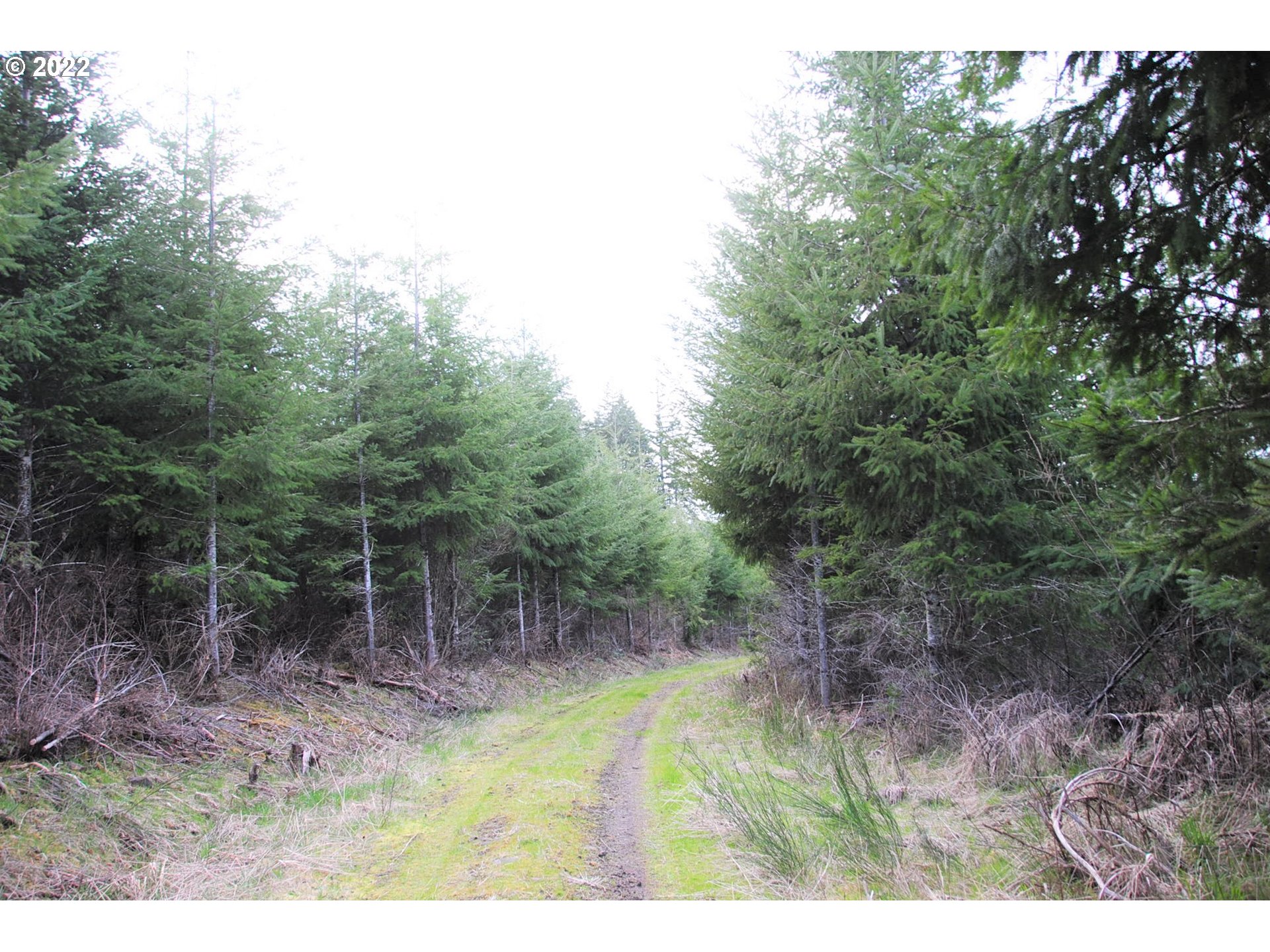 0 Northwest Timber (golden) Road Forest Grove, OR 97116 - Photo 12 of 21 Gallery Image 12