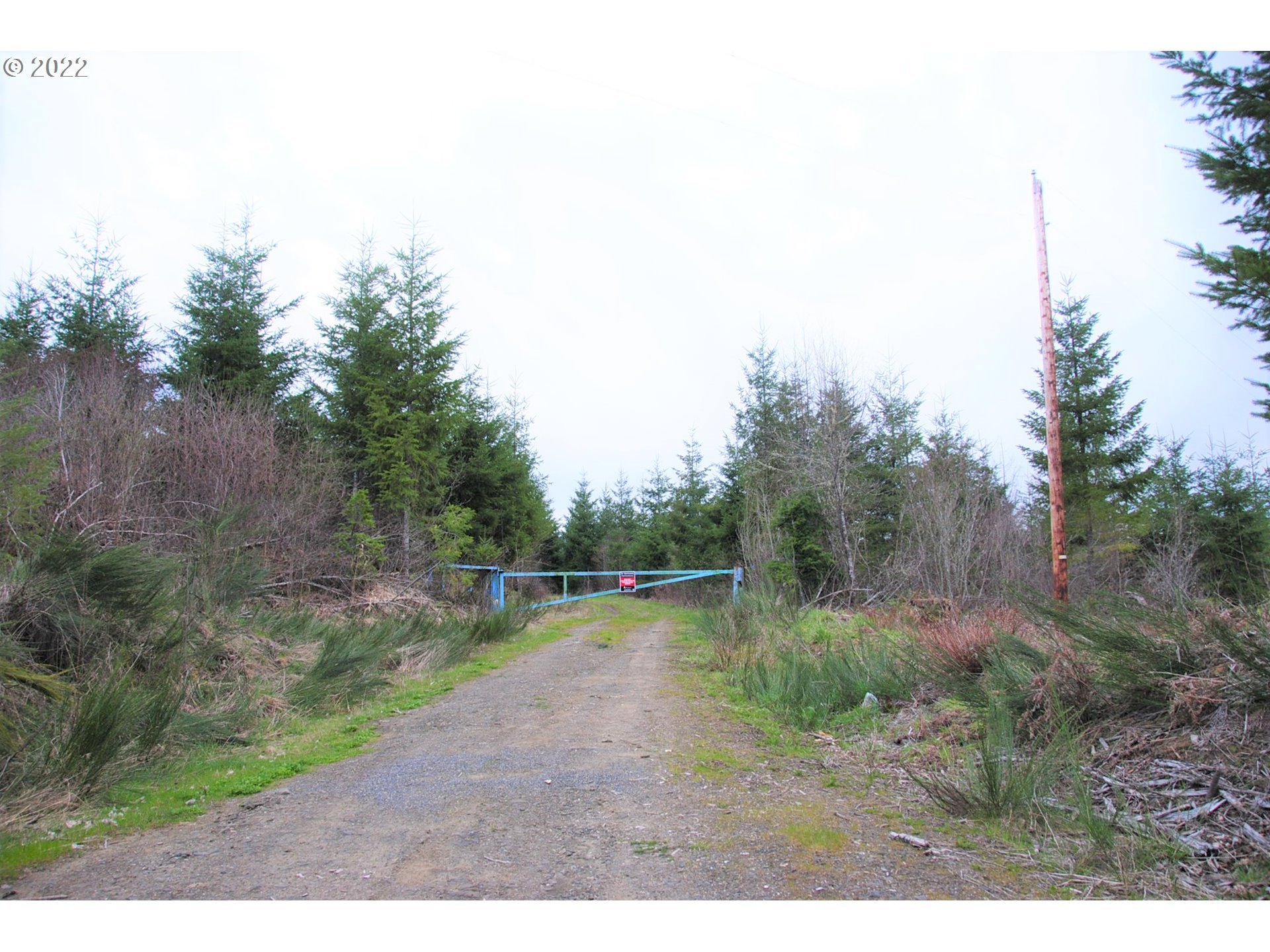 0 Northwest Timber (golden) Road Forest Grove, OR 97116 - Photo 4 of 21 Gallery Image 4