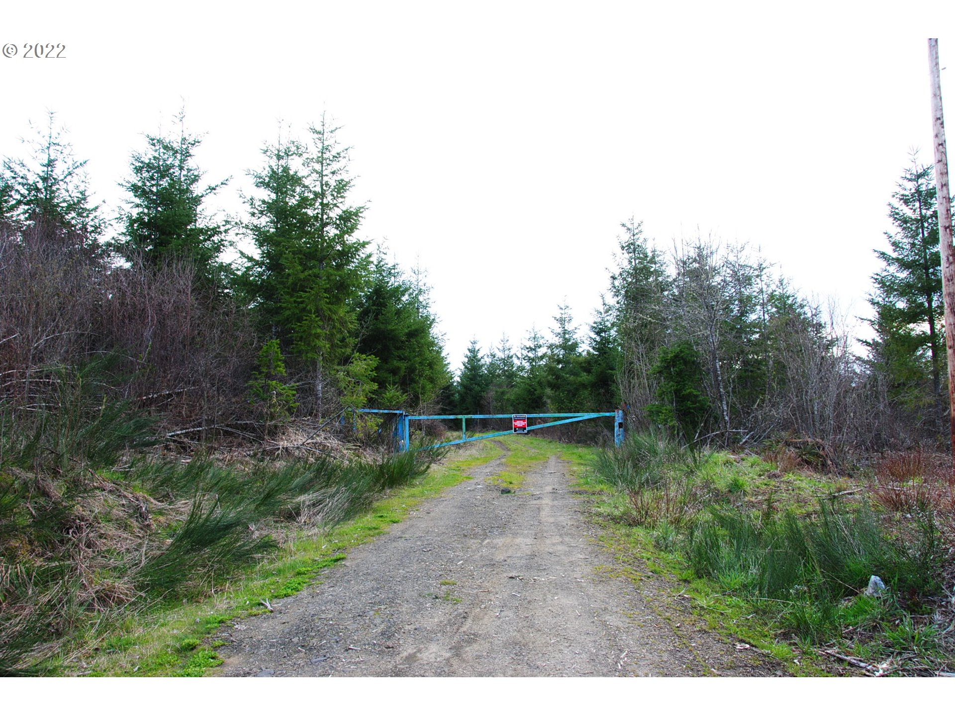 0 Northwest Timber (golden) Road Forest Grove, OR 97116 - Photo 6 of 21 Gallery Image 6