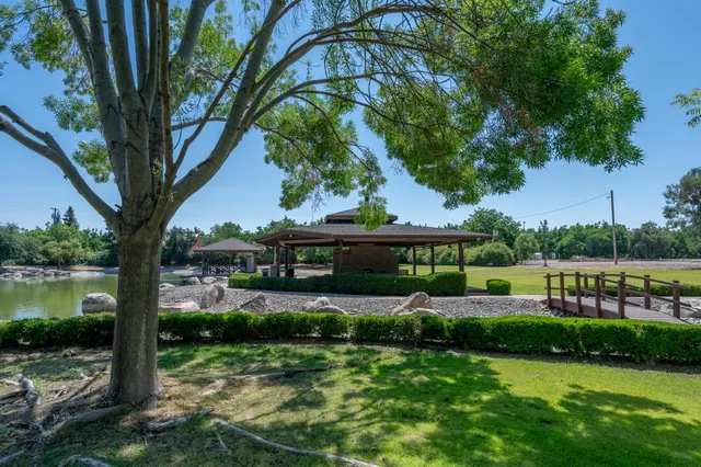 a view of a park with large trees