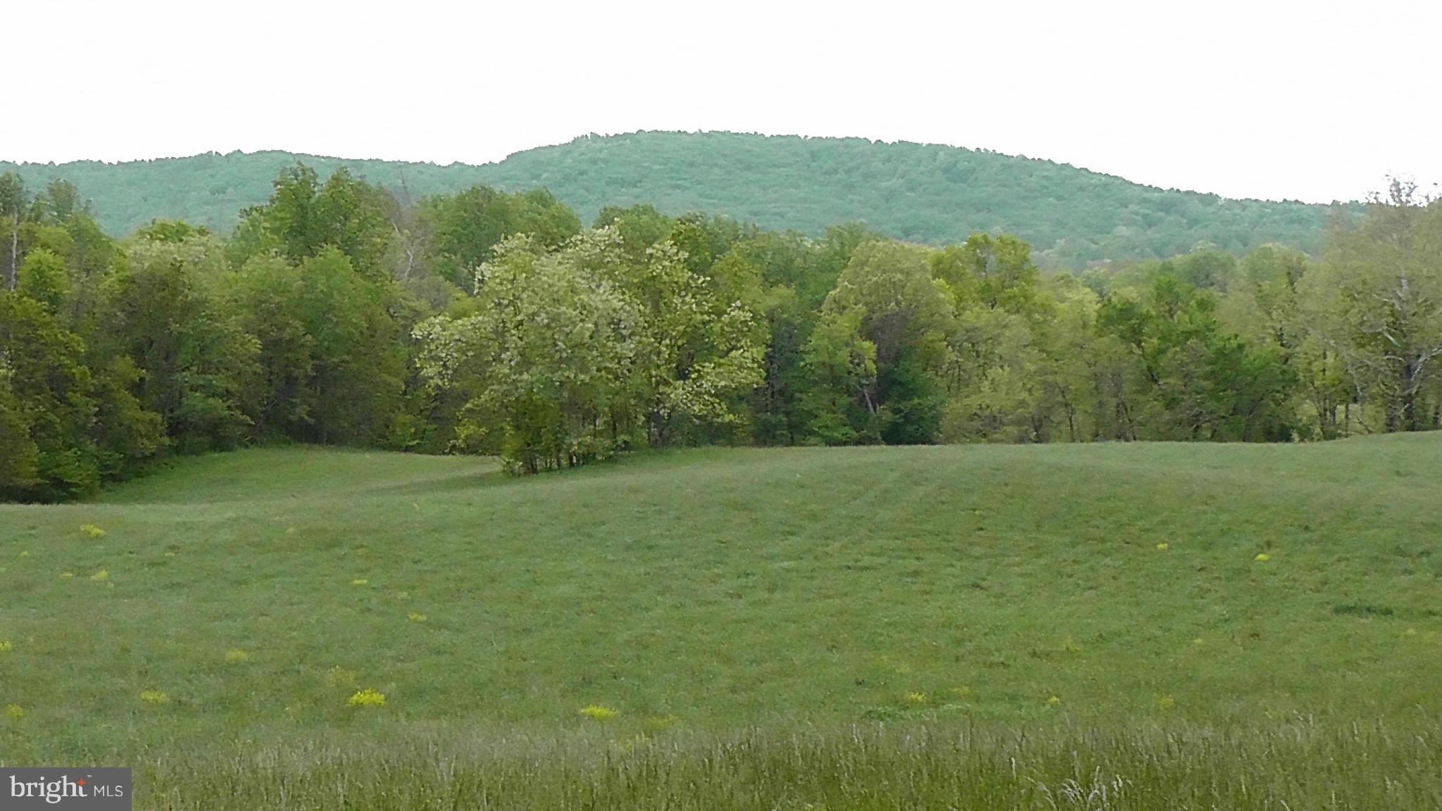14081 Hume Road Hume, VA 22639 - Photo 13 of 15 View
