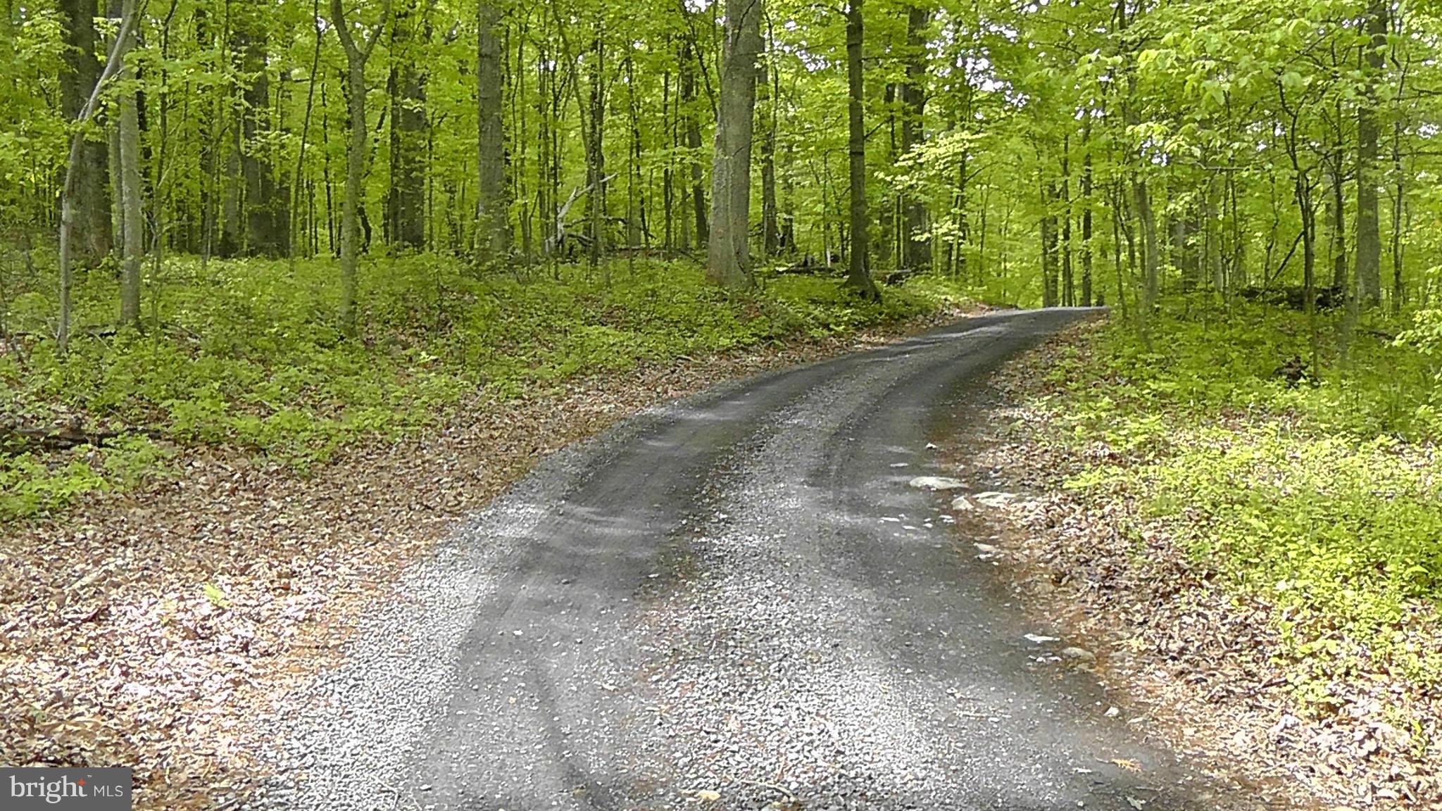 14081 Hume Road Hume, VA 22639 - Photo 10 of 15 View