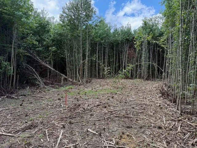 a backyard of a house with lots of green space
