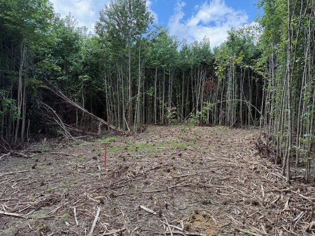 a backyard of a house with lots of green space