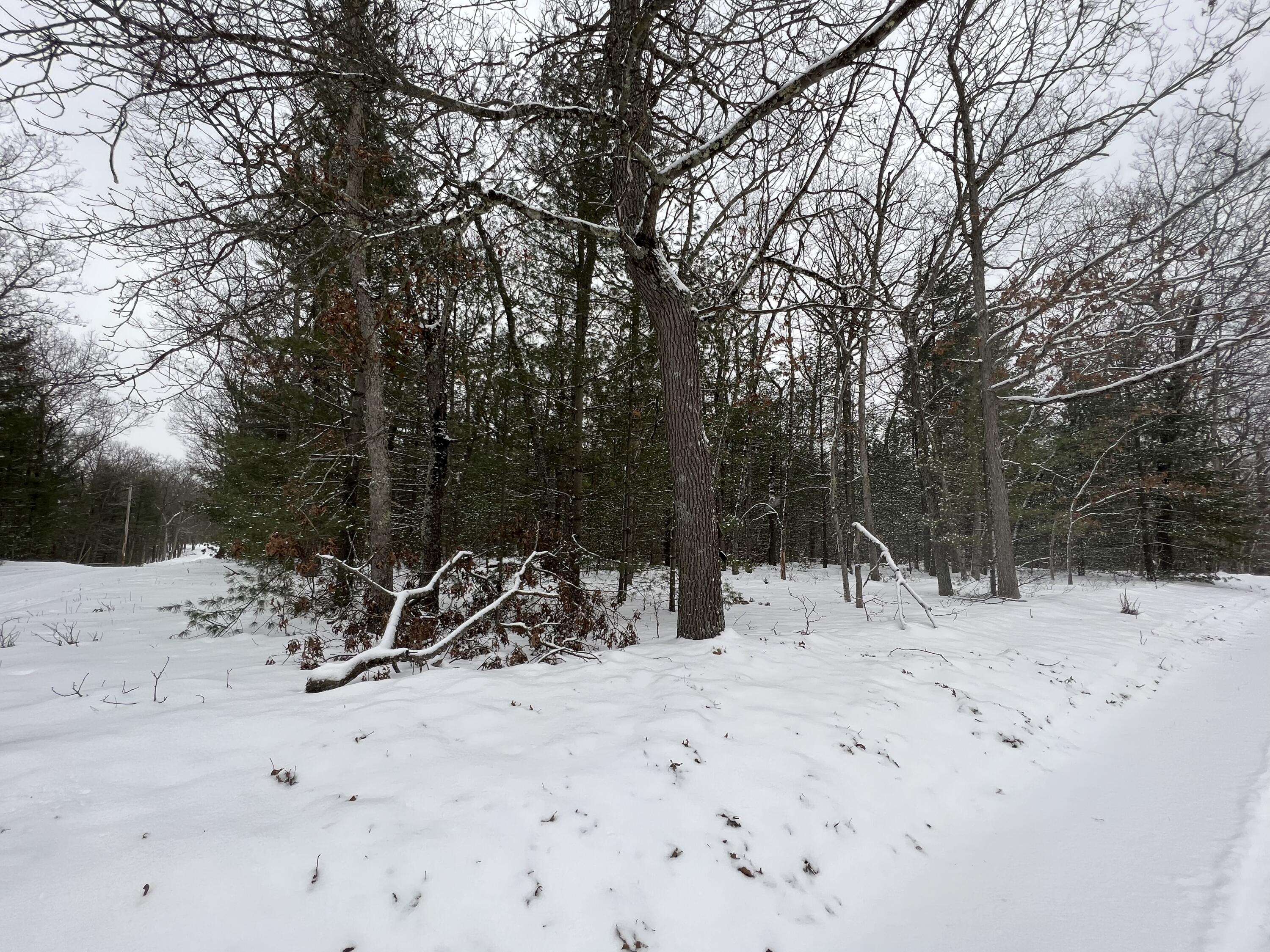 South Mac Road Baldwin, MI 49304 - Photo 5 of 11 Buildable