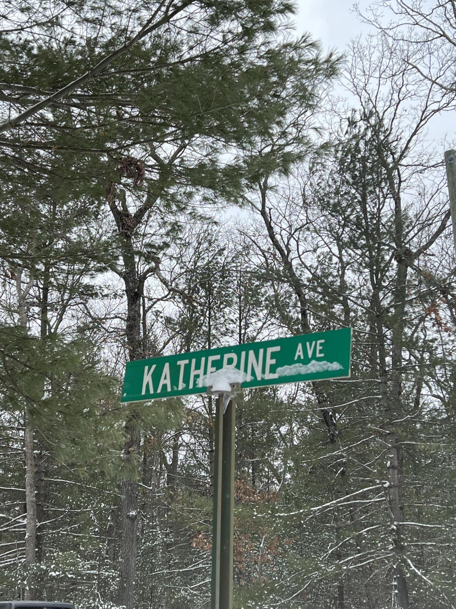 South Mac Road Baldwin, MI 49304 - Photo 6 of 11 Corner of Katherine & Mac Rd.