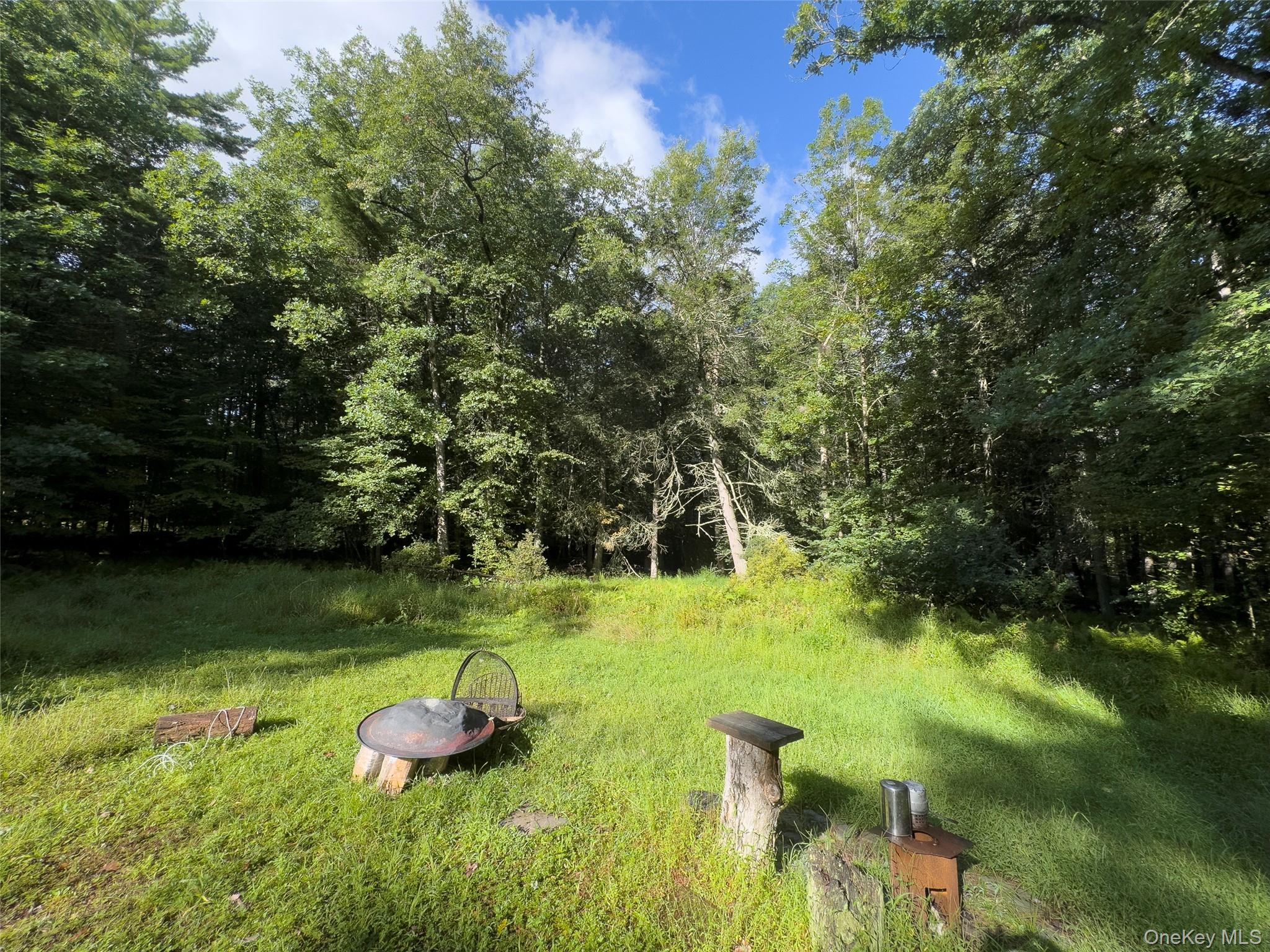 83 Perry Pond Road Narrowsburg, NY 12764 - Photo 6 of 14 Gallery Image 6