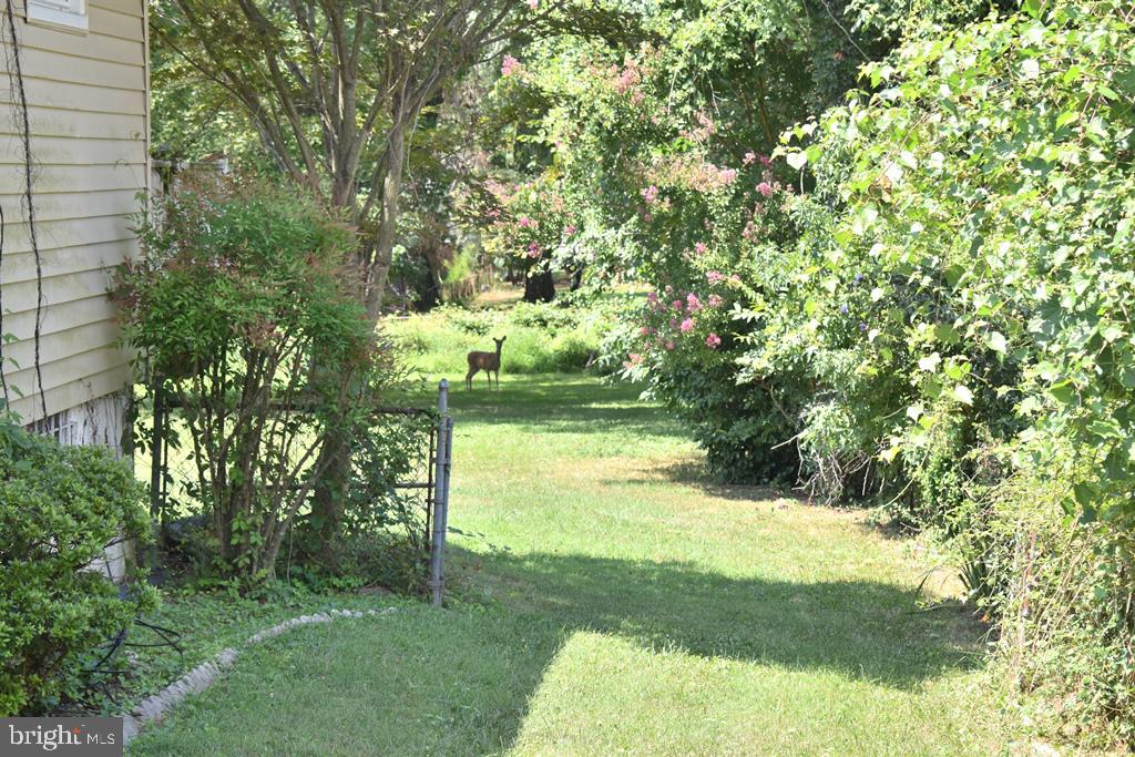 5711 Huntland Road Temple Hills, MD 20748 - Photo 4 of 23
