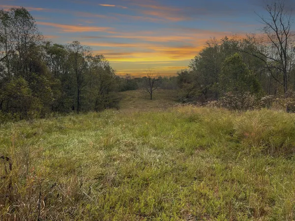 a view of a field with an ocean and trees