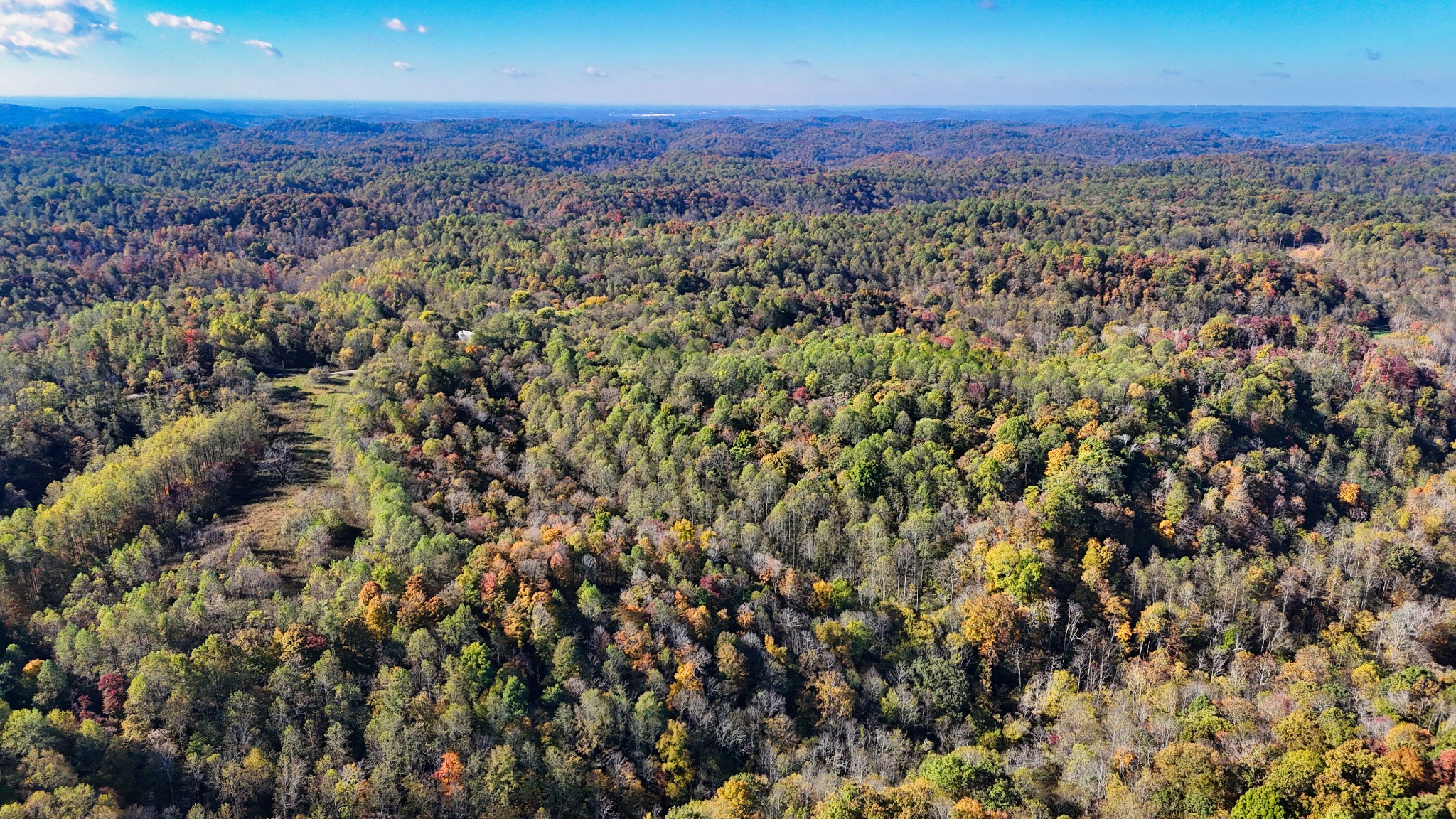 567 Patch Lane Bethpage, TN 37022 - Photo 11 of 14 an aerial view of residential houses with city view