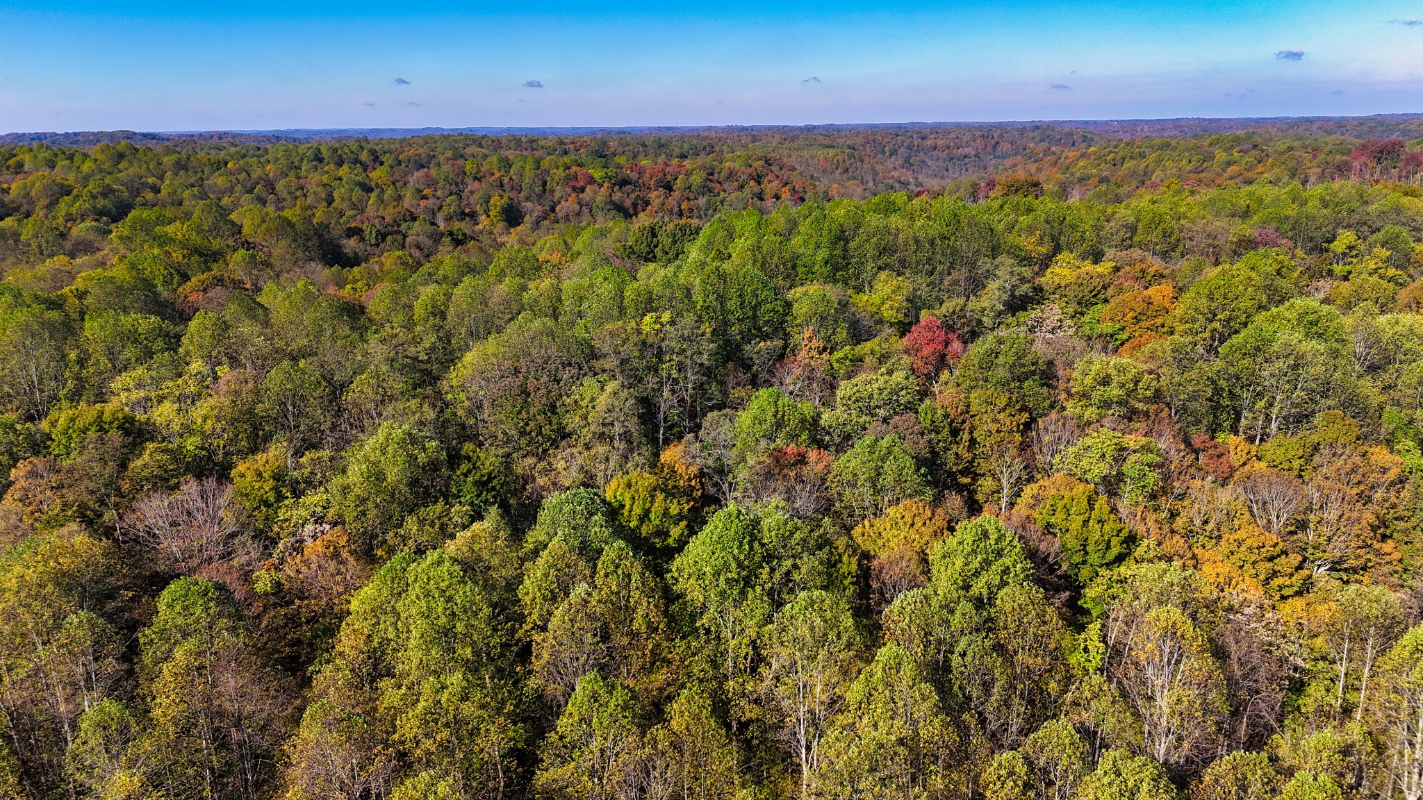 567 Patch Lane Bethpage, TN 37022 - Photo 3 of 14 a view of a city with an ocean