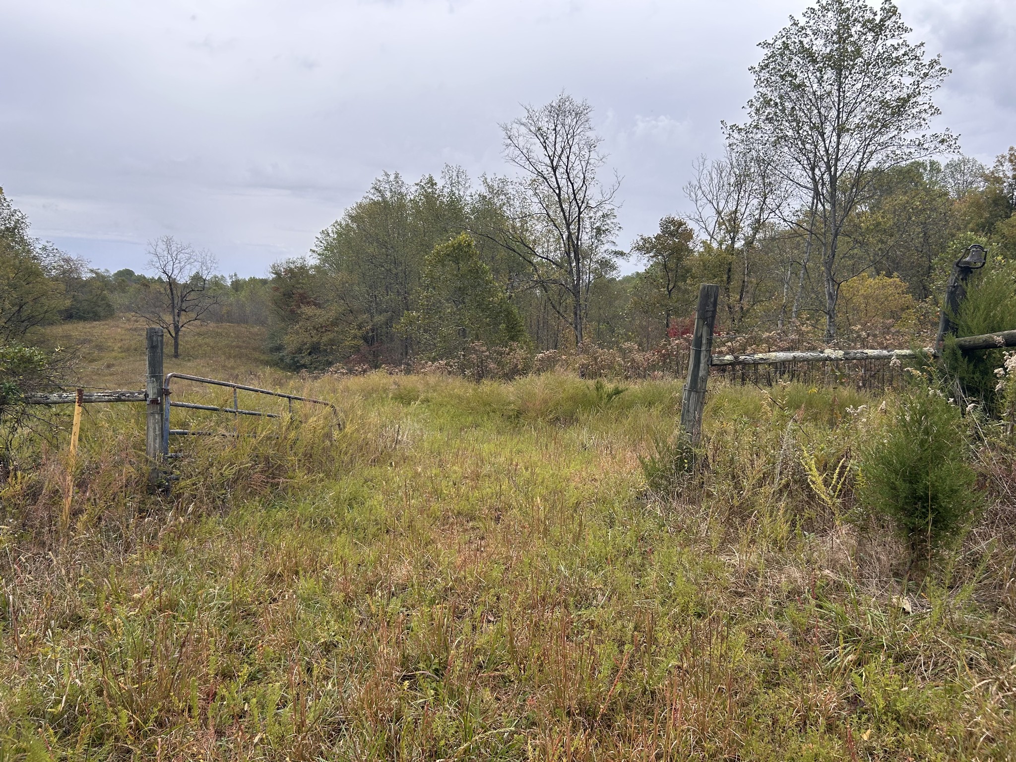 567 Patch Lane Bethpage, TN 37022 - Photo 5 of 14 a view of a lake view with mountain in the back