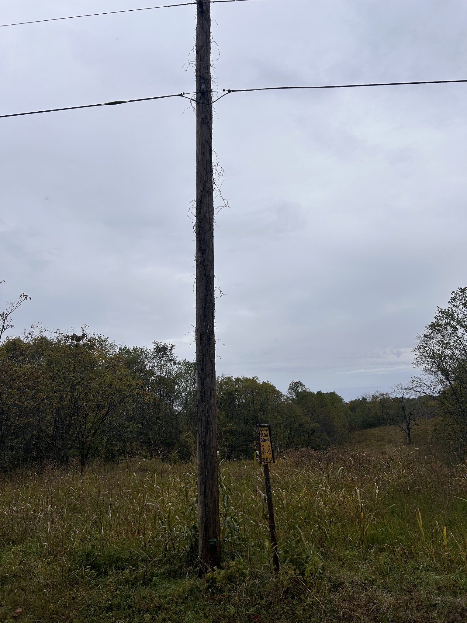 567 Patch Lane Bethpage, TN 37022 - Photo 6 of 14 a view of a road