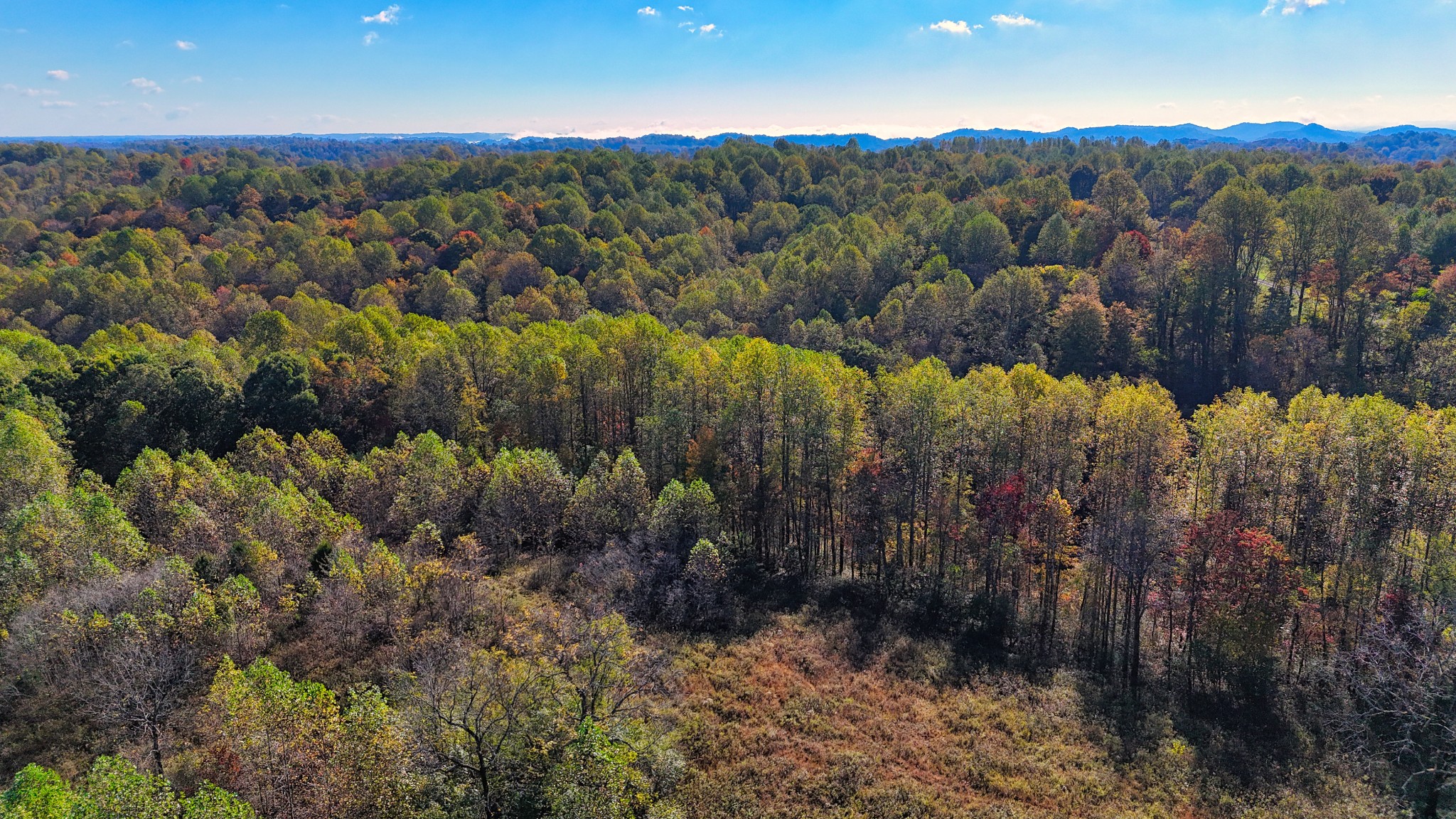 567 Patch Lane Bethpage, TN 37022 - Photo 8 of 14 a view of a yard with green space