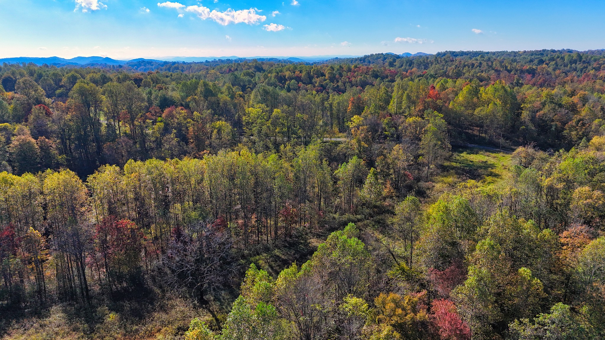 567 Patch Lane Bethpage, TN 37022 - Photo 9 of 14 a view of a city with mountains in the background