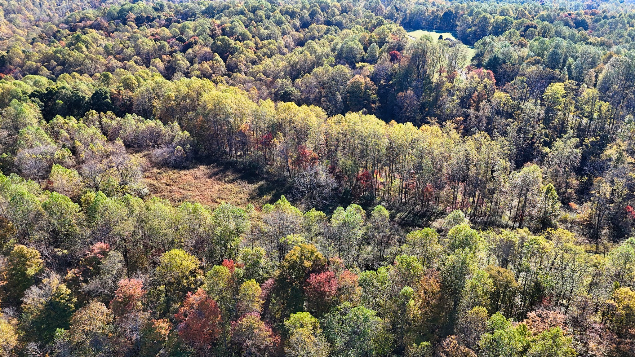 567 Patch Lane Bethpage, TN 37022 - Photo 10 of 14 a city view