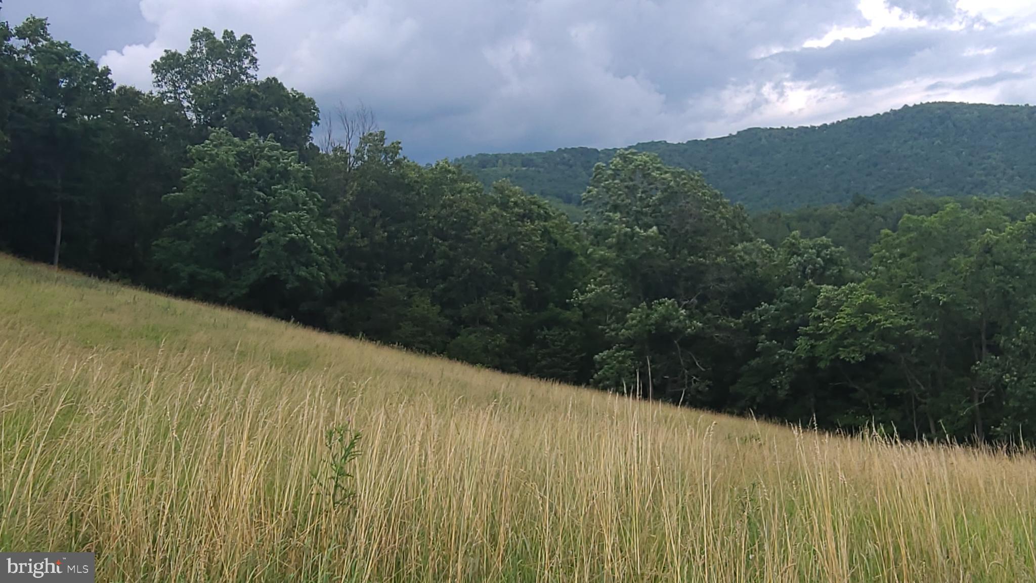 534 Co Rte 10/2 Franklin, WV 26807 - Photo 28 of 45 Lush hills under a moody sky.