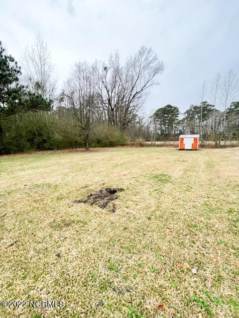 1234 Old Chinquapin Road Beulaville, NC 28518 - Photo 27 of 28 IMG_2877