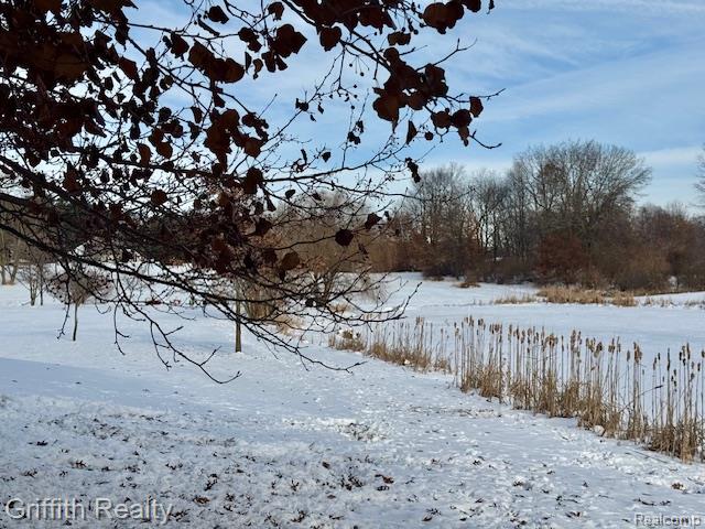 5748 West Coon Lake Road Howell, MI 48843 - Photo 65 of 74