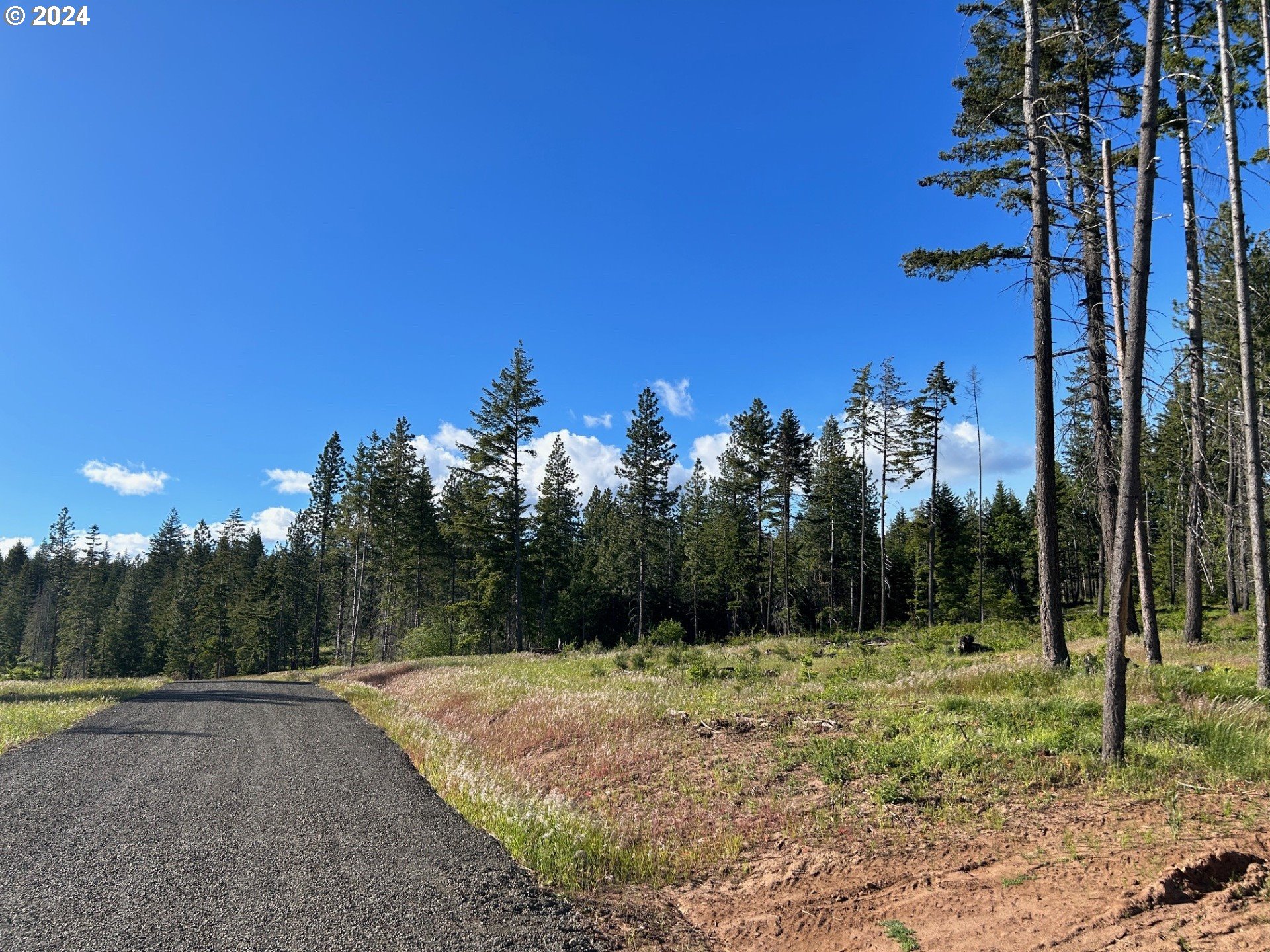 19 Snag Road Lyle, WA 98635 - Photo 1 of 14 Gallery Image 1