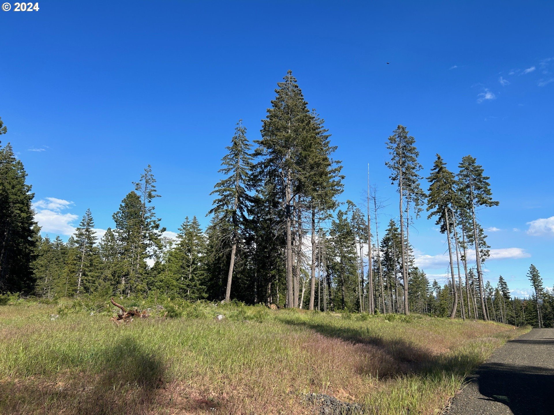 19 Snag Road Lyle, WA 98635 - Photo 11 of 14 Gallery Image 11
